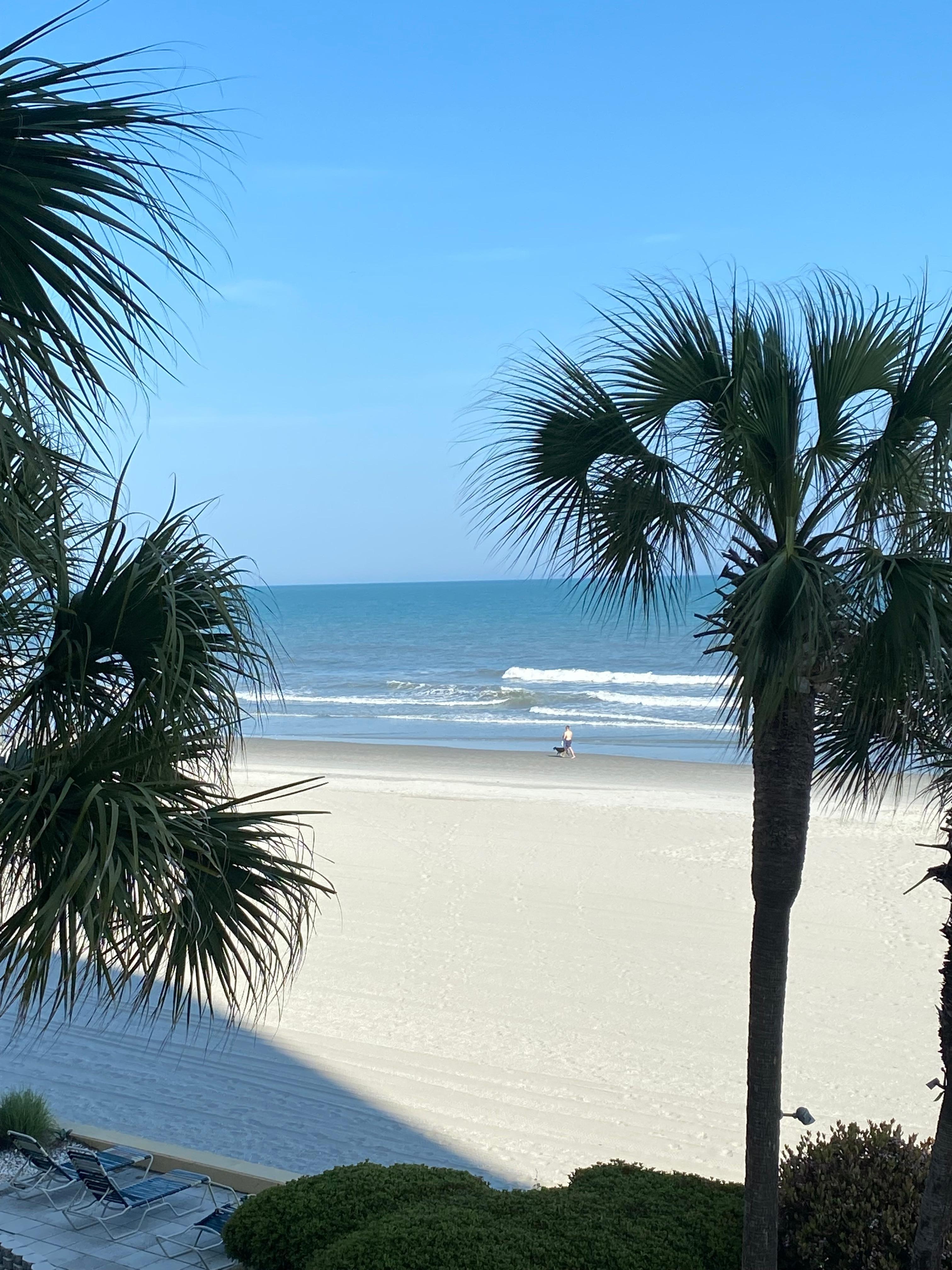 View from balcony to the left
