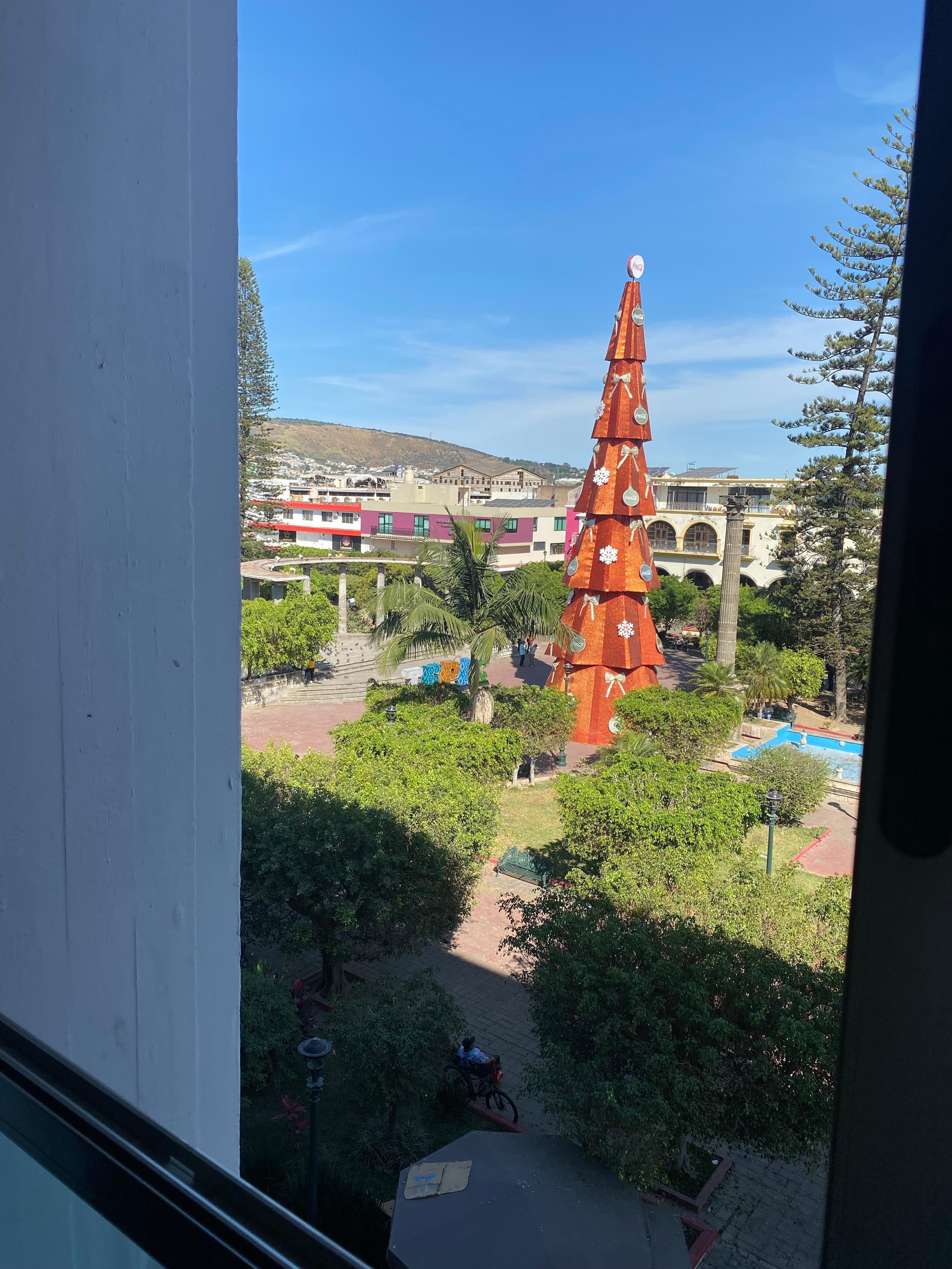 Vista desde la habitación 