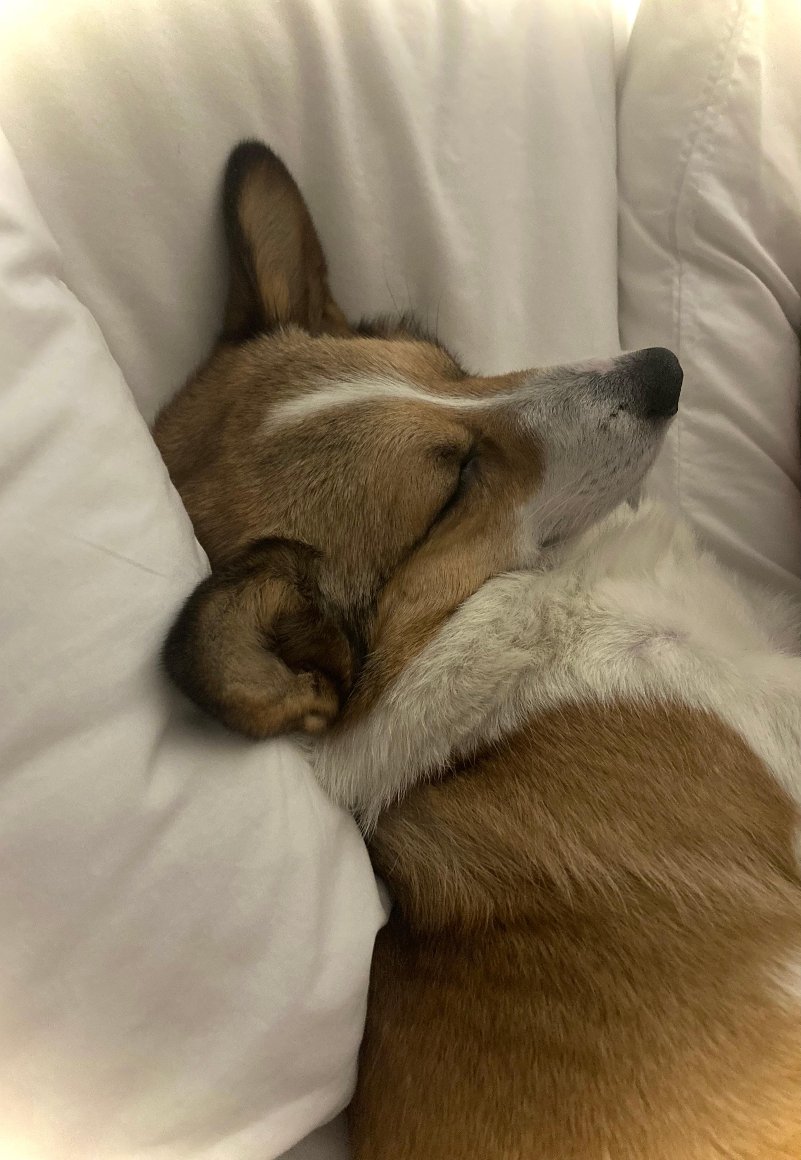 Willow may have had too much fun on Bourbon Street 🤭