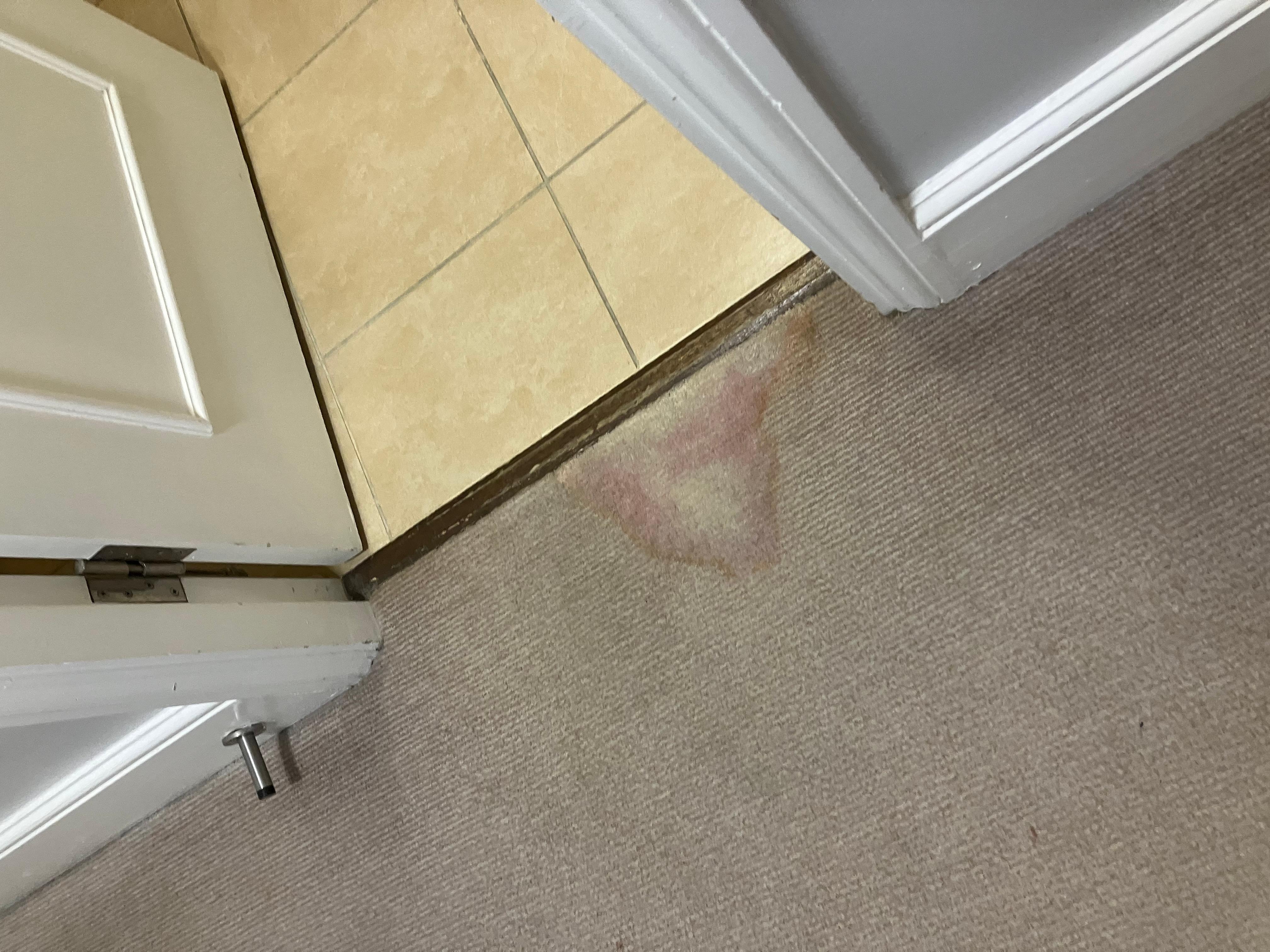 Mouldy carpet from previous bathroom leak