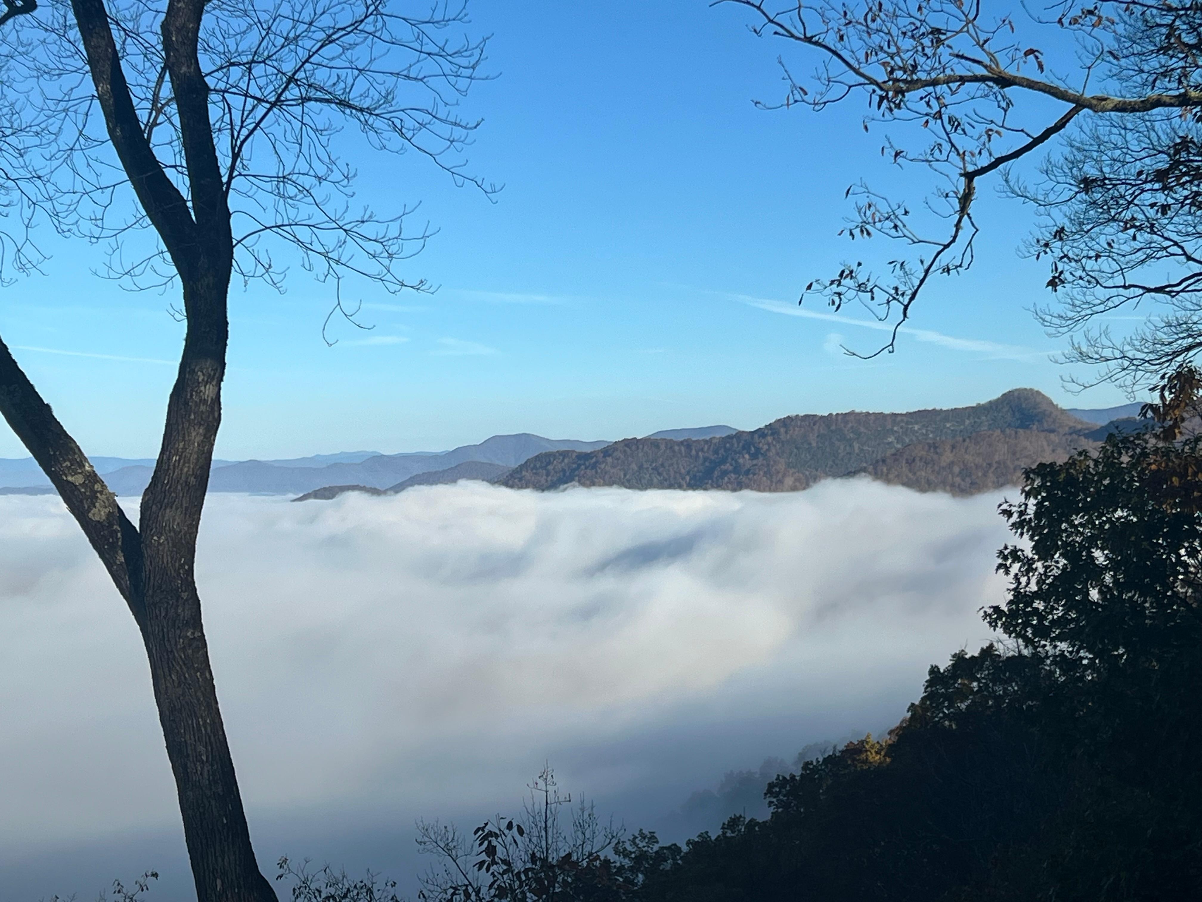 Each day a new vision greeted us