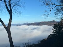 Each day a new vision greeted us