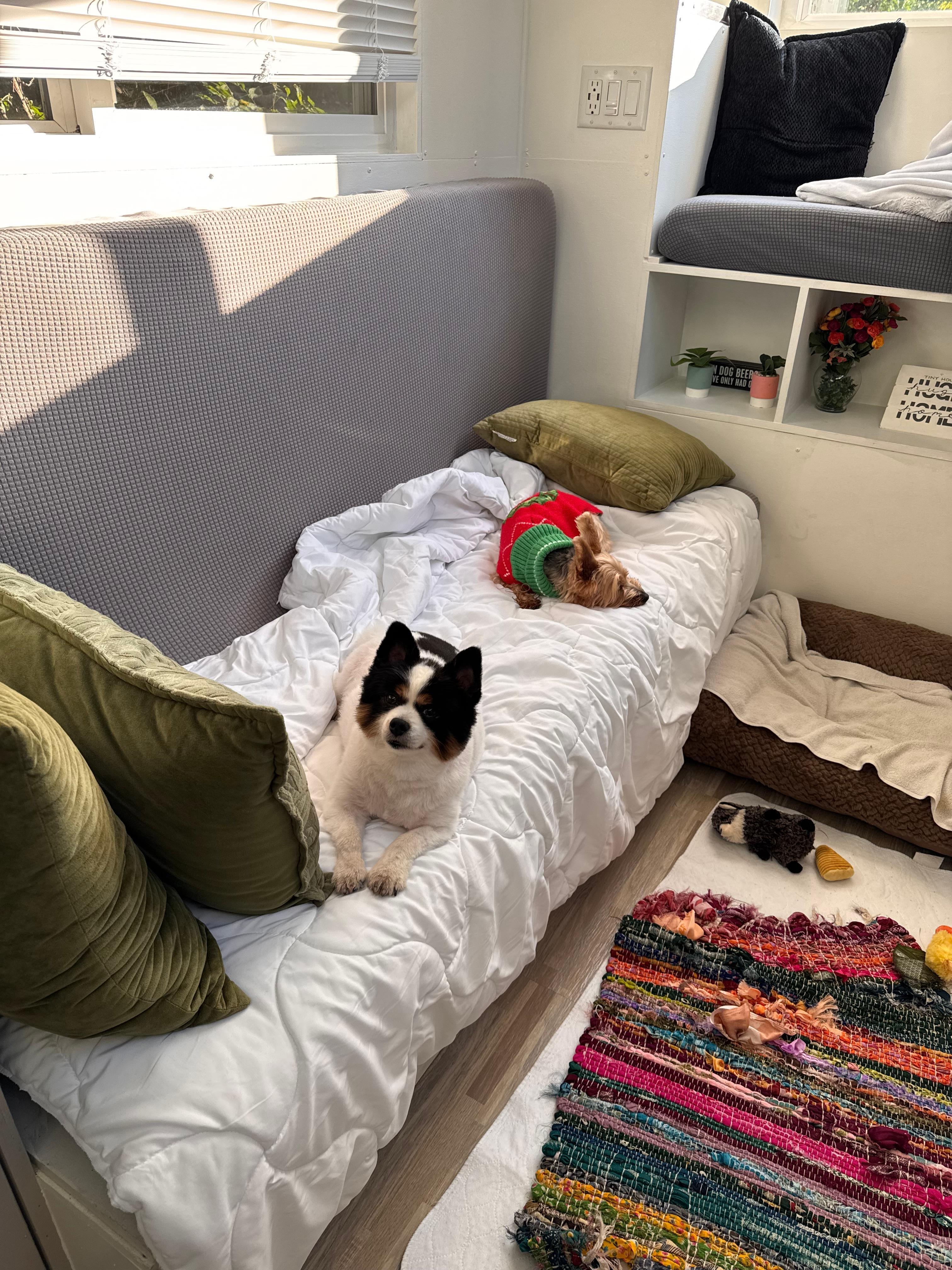 My pups felt “Right At Home” in our Little Tiny Home! 