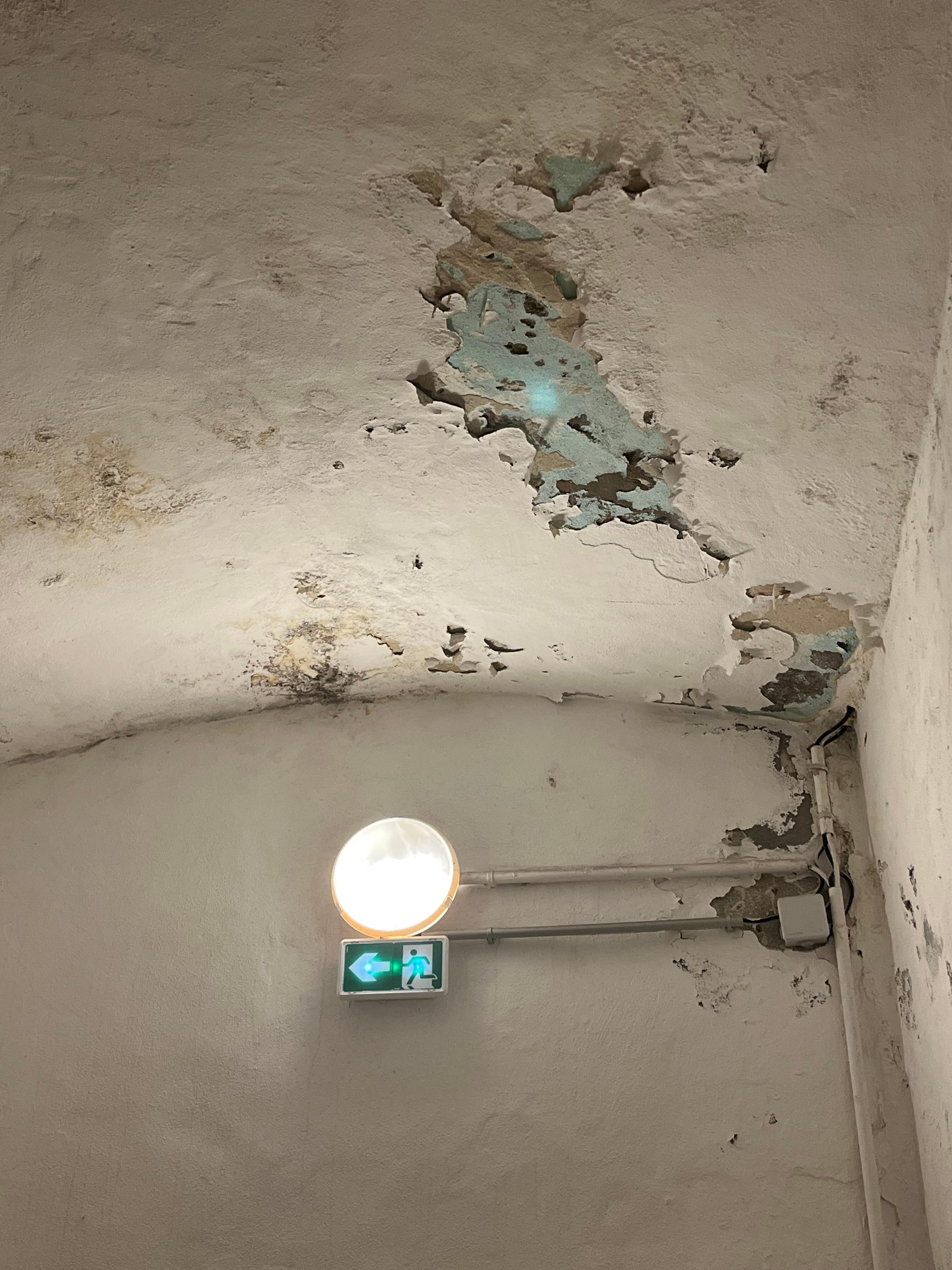 Plafond insalubre humidité plus plus plus 