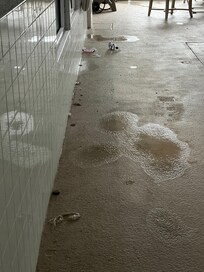 Pool trashy