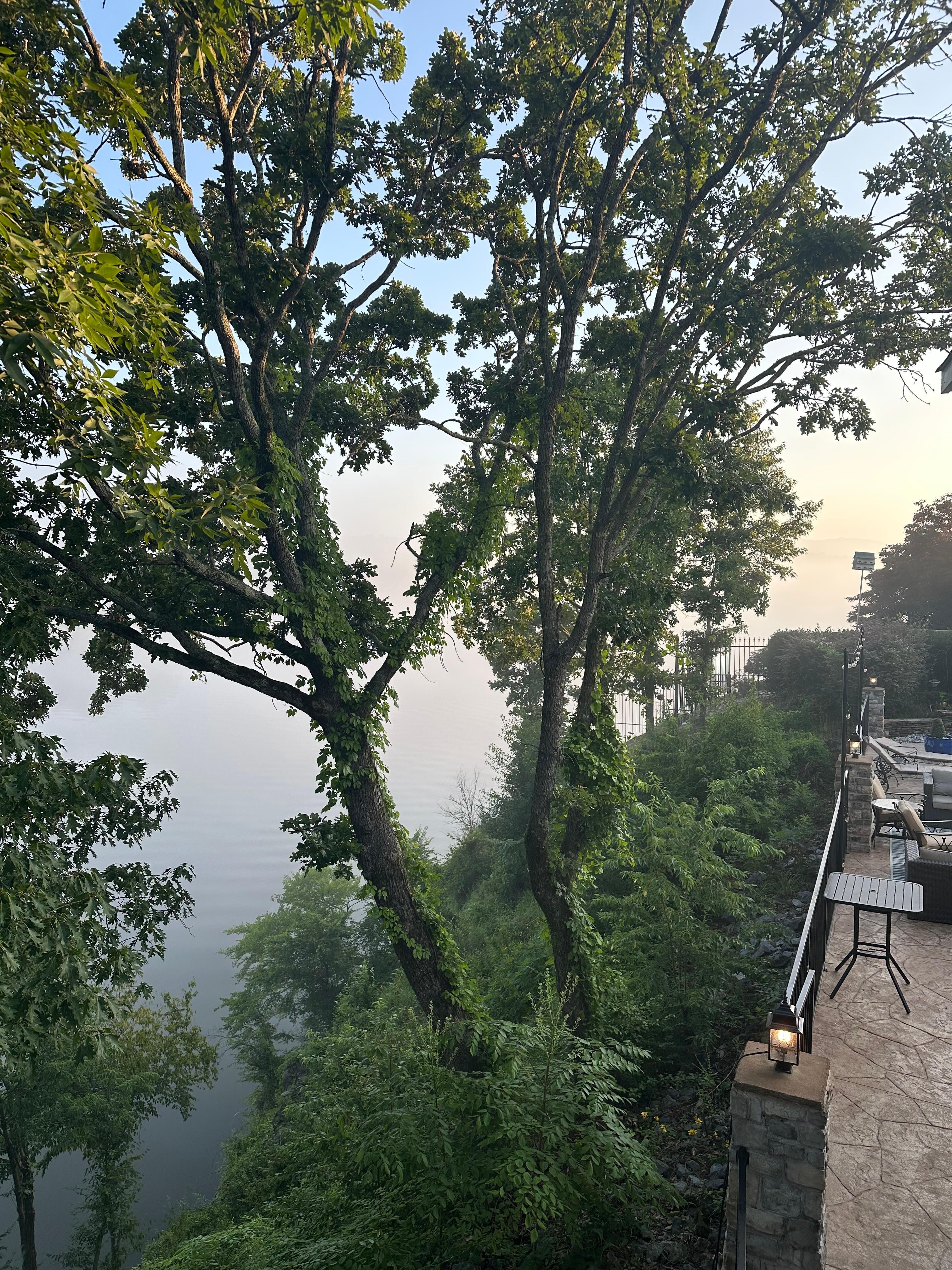 Just one of our morning views 