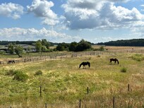 Blick vom Balkon