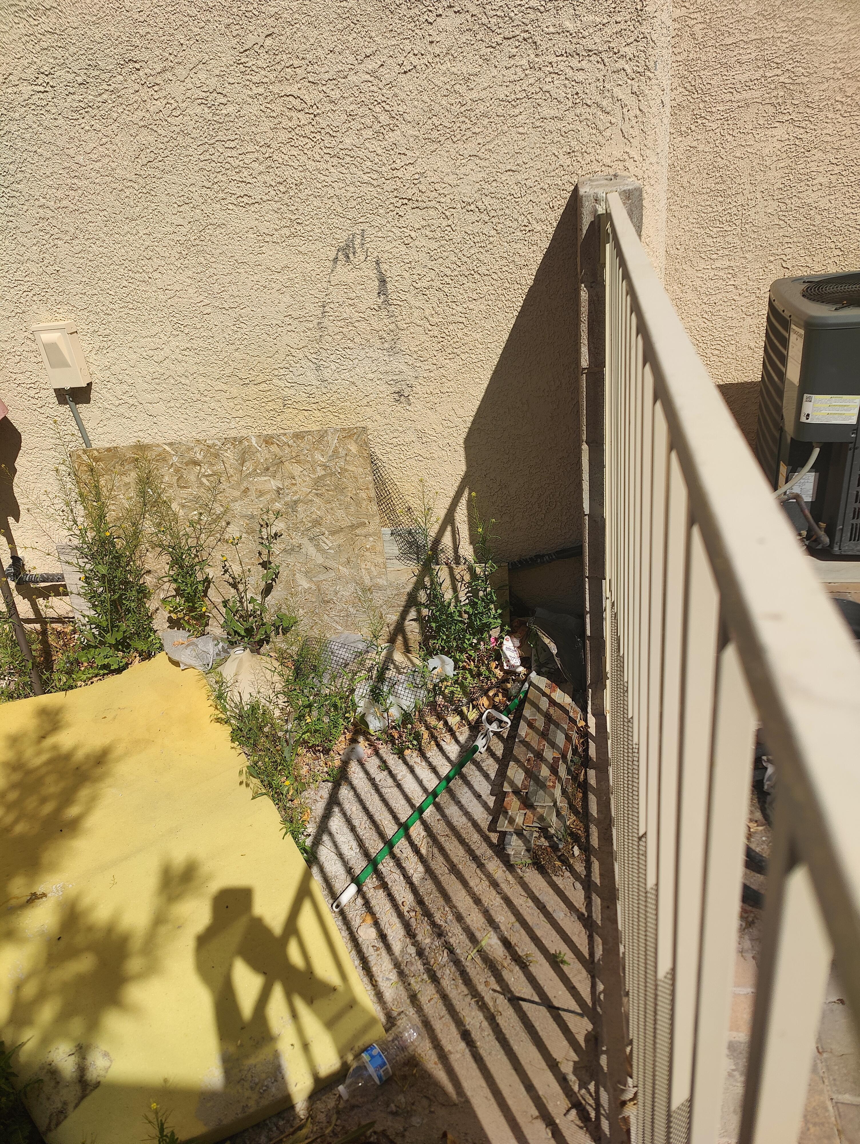 Trash was everywhere on the side of the house. 