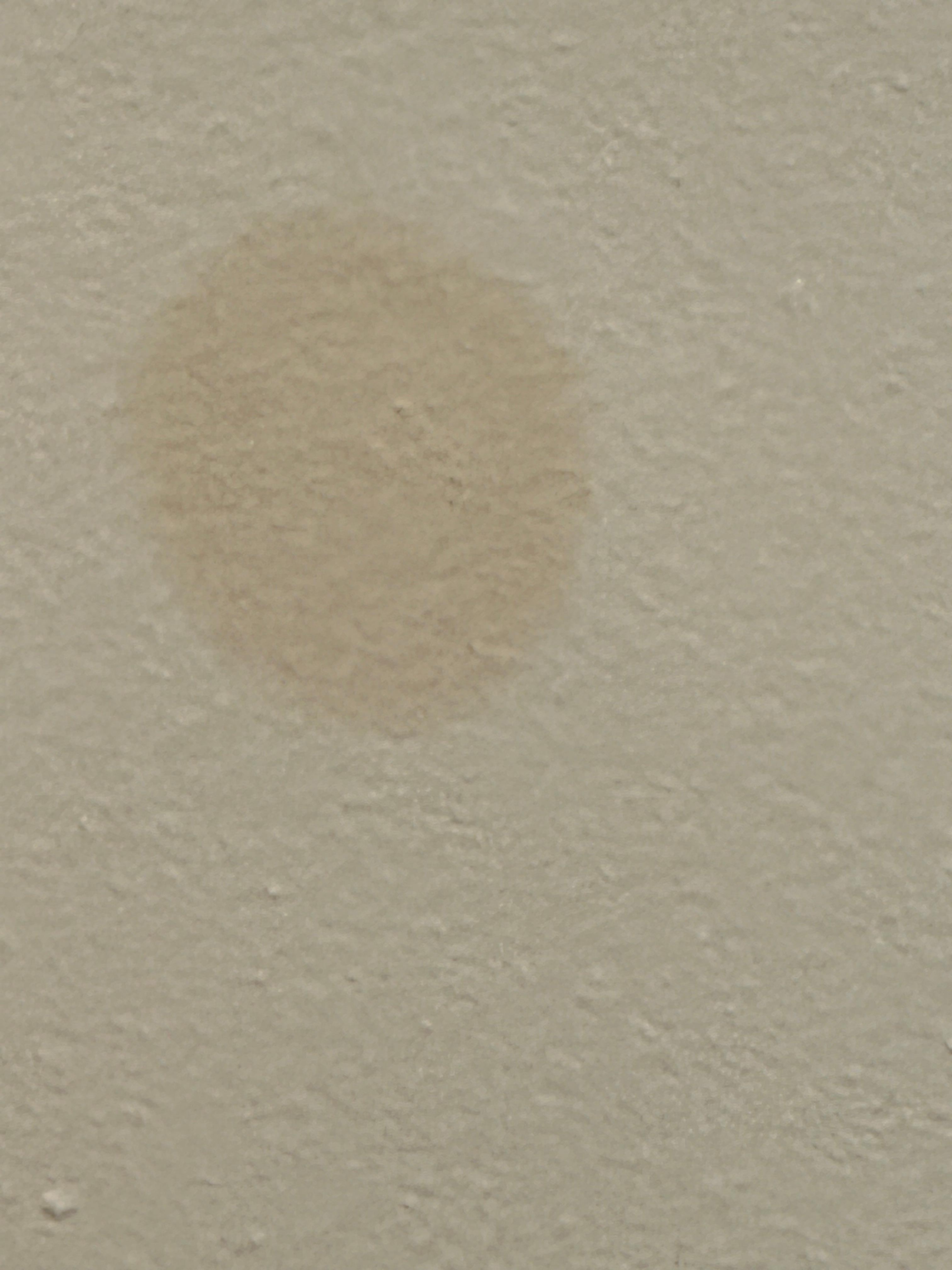 Right above the bed 