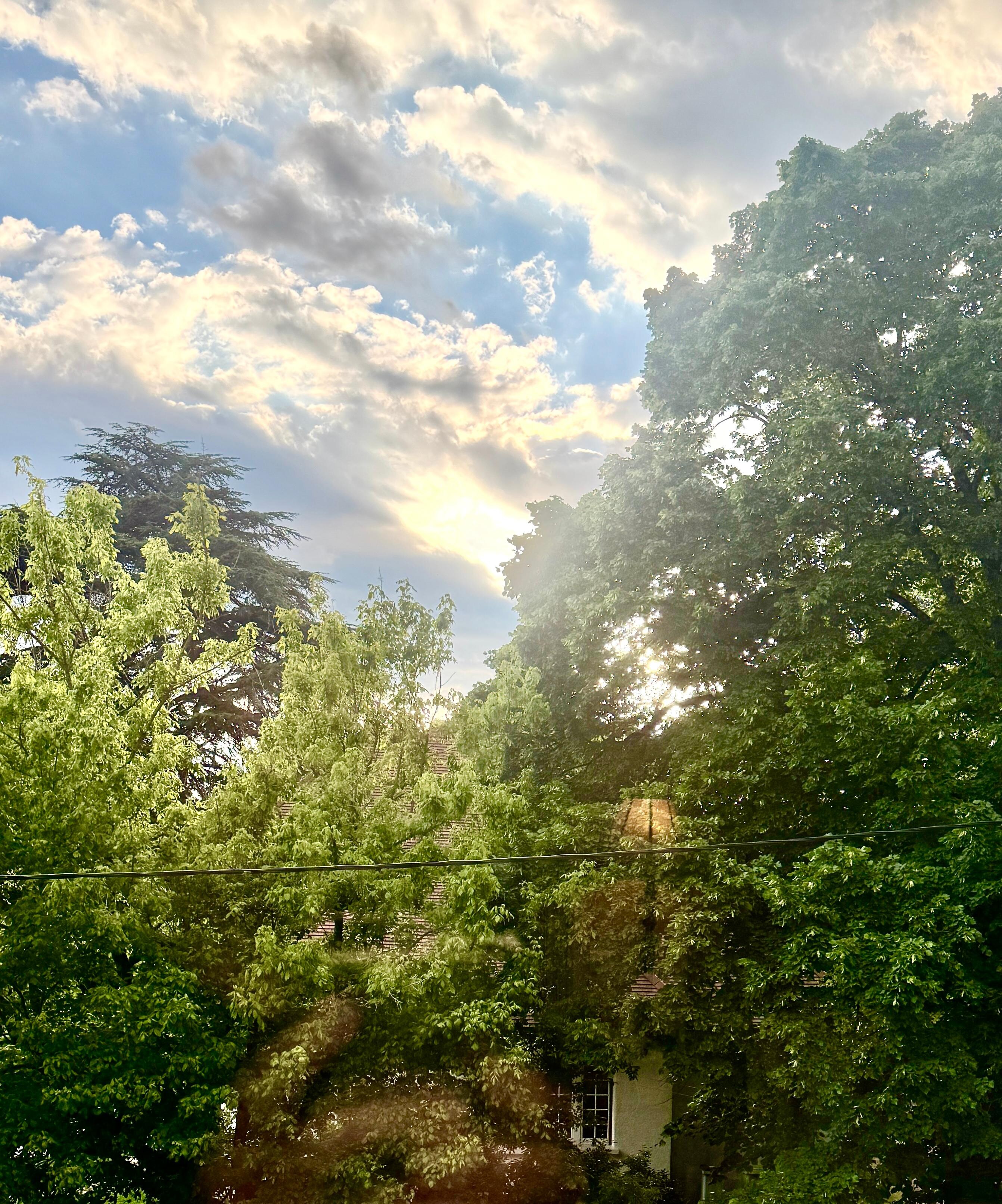Beautiful neighborhood