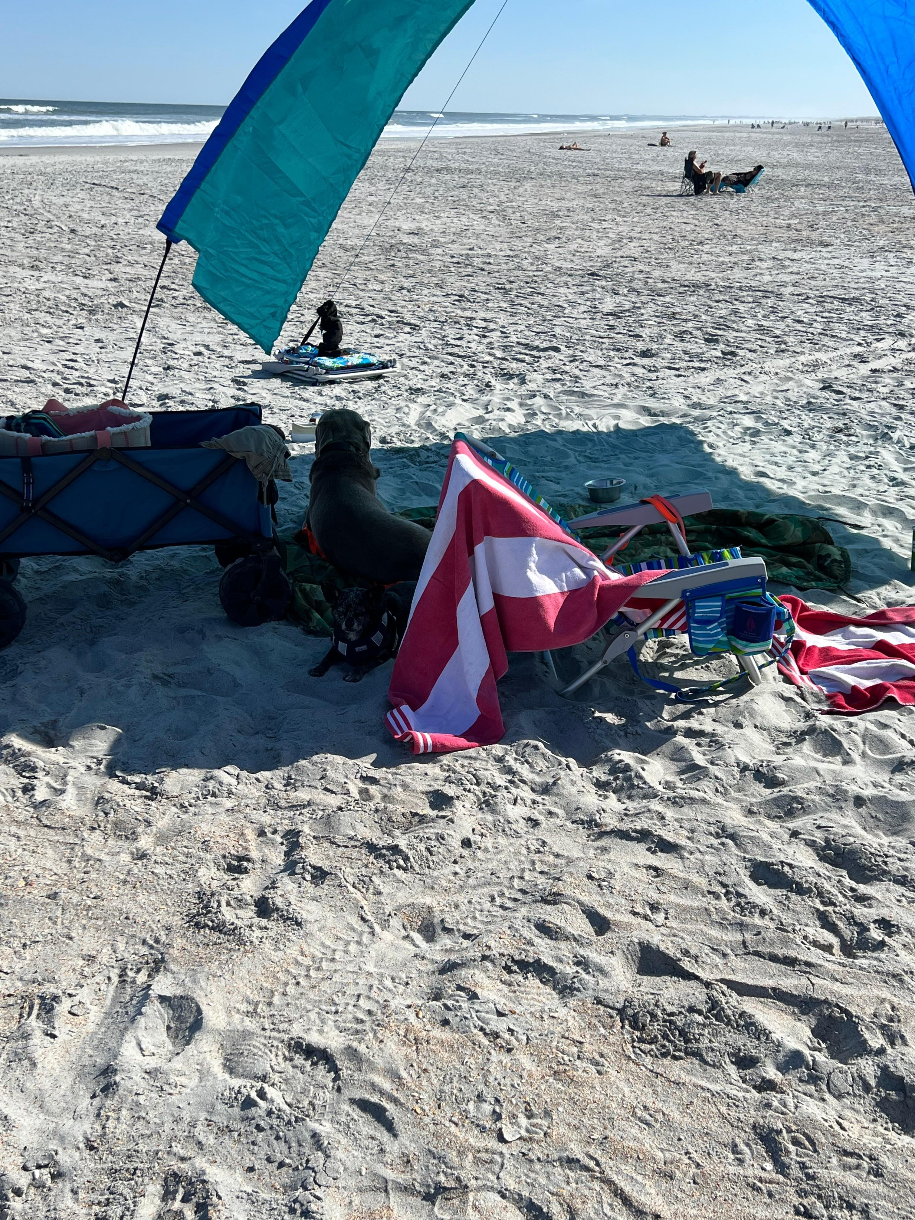 Sitting out on the beach