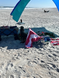 Sitting out on the beach