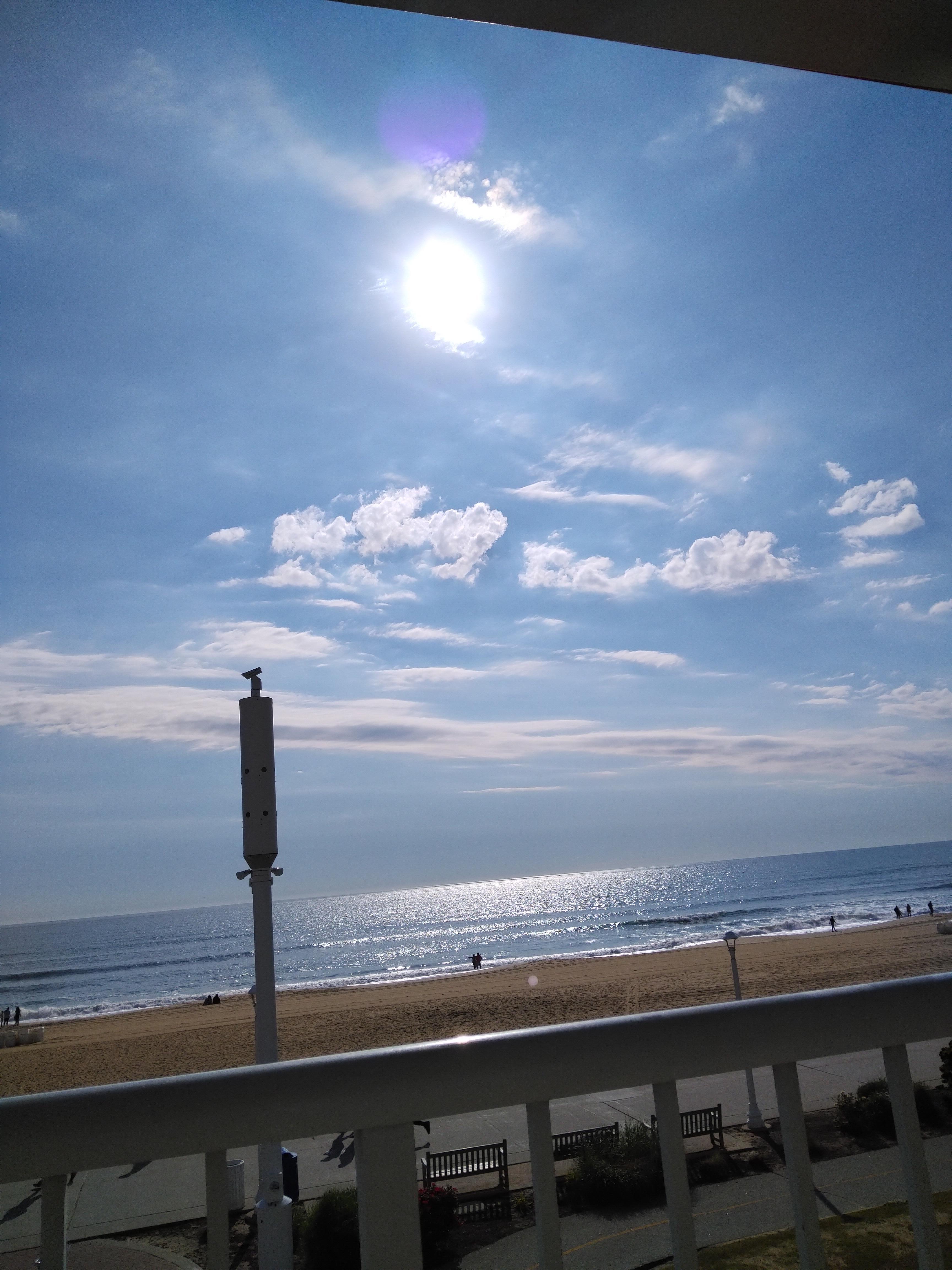 Morning sun 