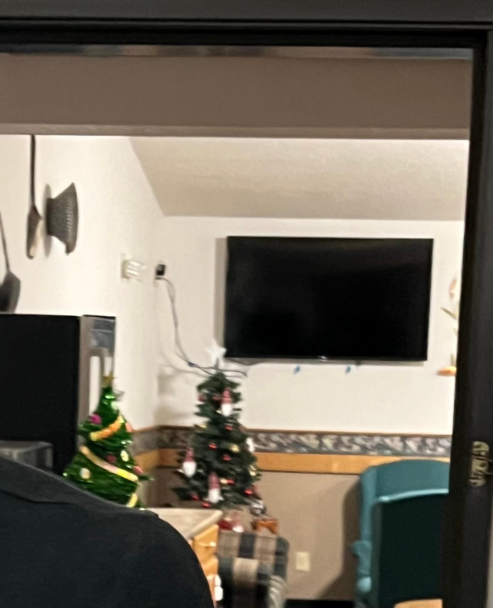 Lobby with Christmas trees in June 