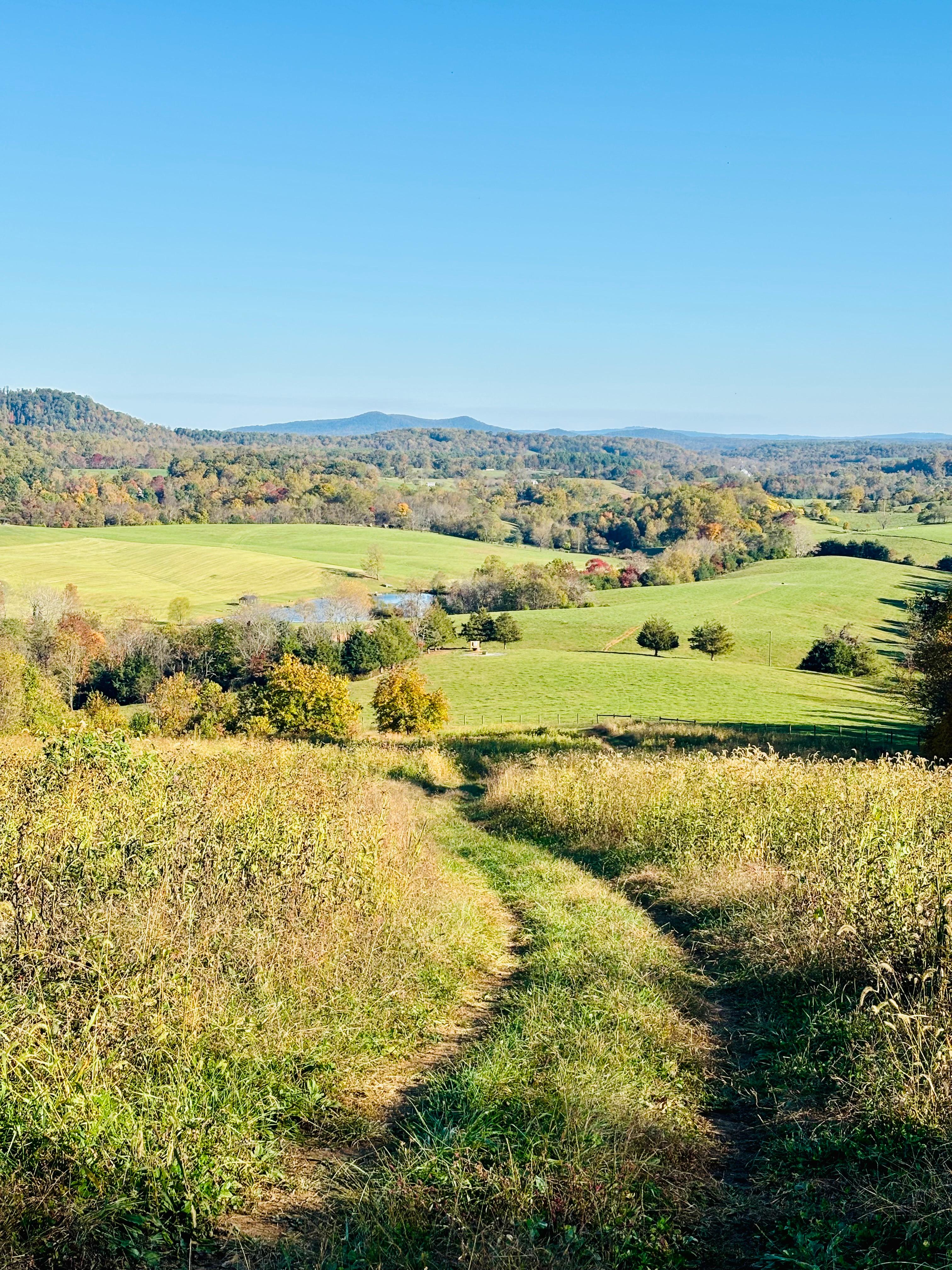 A beautiful hike in the meadows that starts right in the parking area of the Hilltop lodges