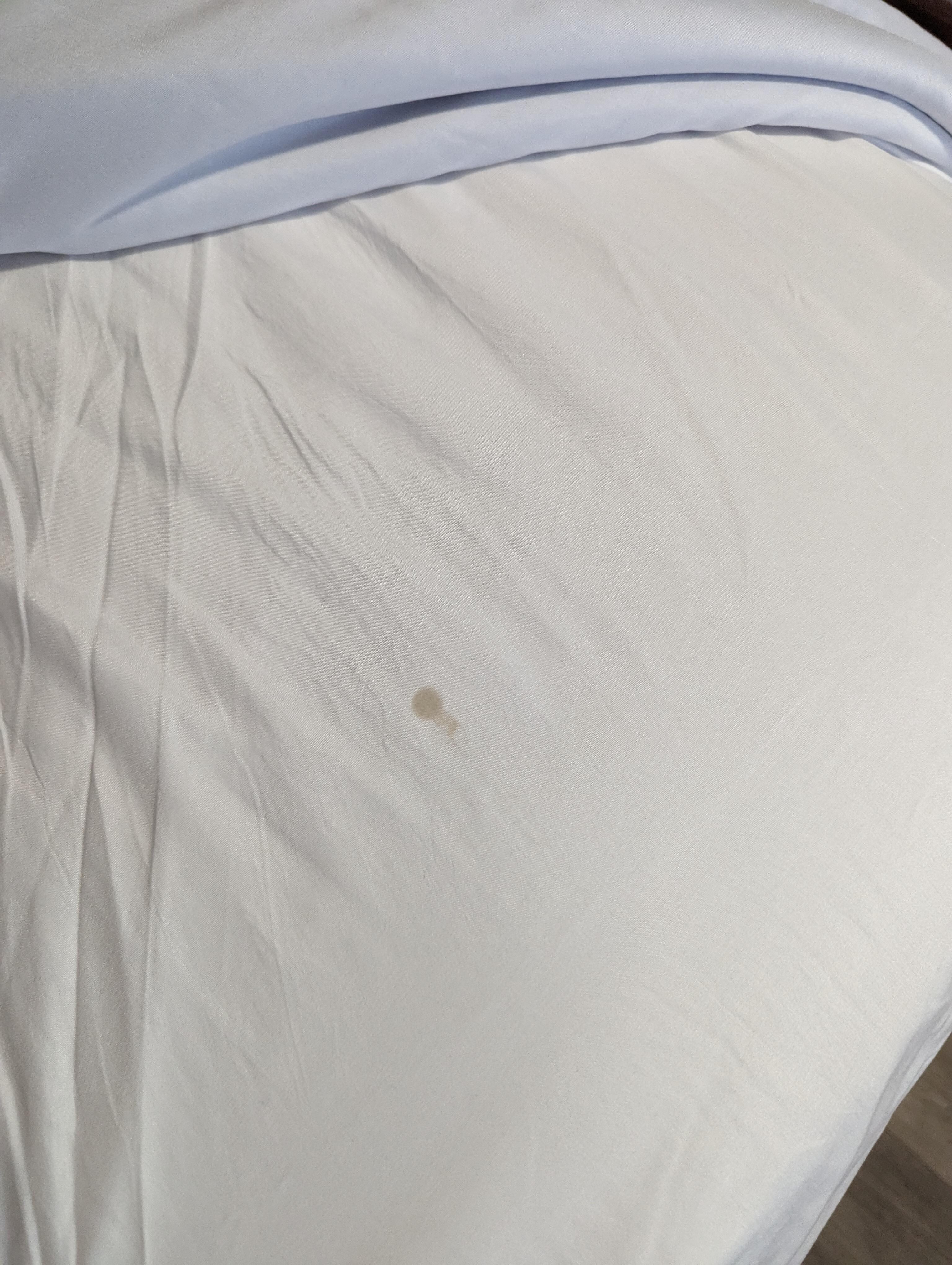 Blood stain on sheets