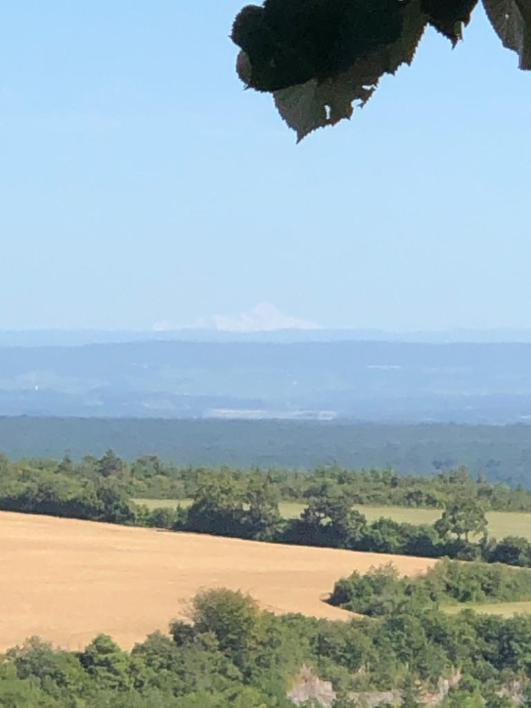 Au fond, le Mont Blanc