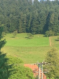 Vista dalla camera