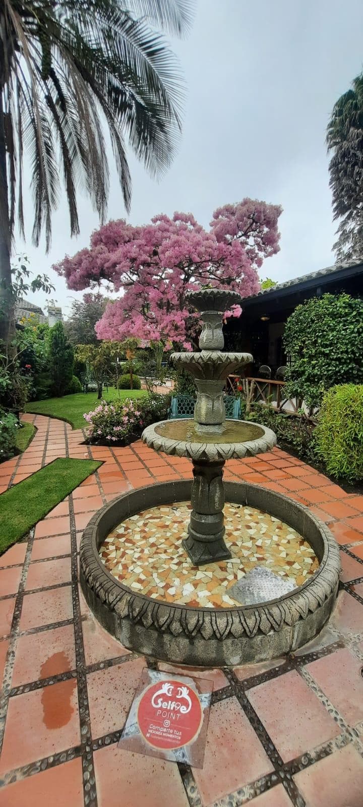 Vista desde la mesa del desayuno