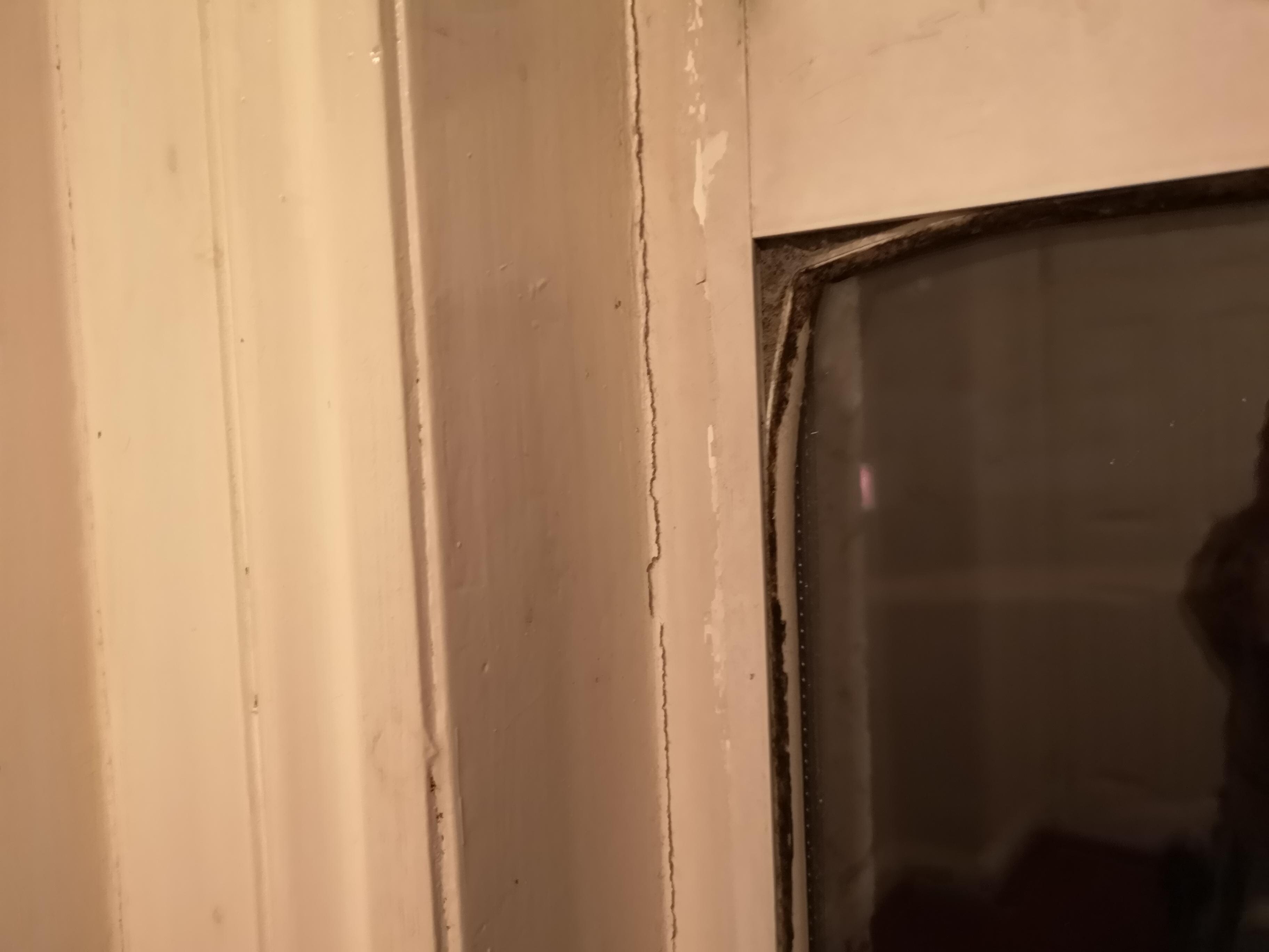Window
