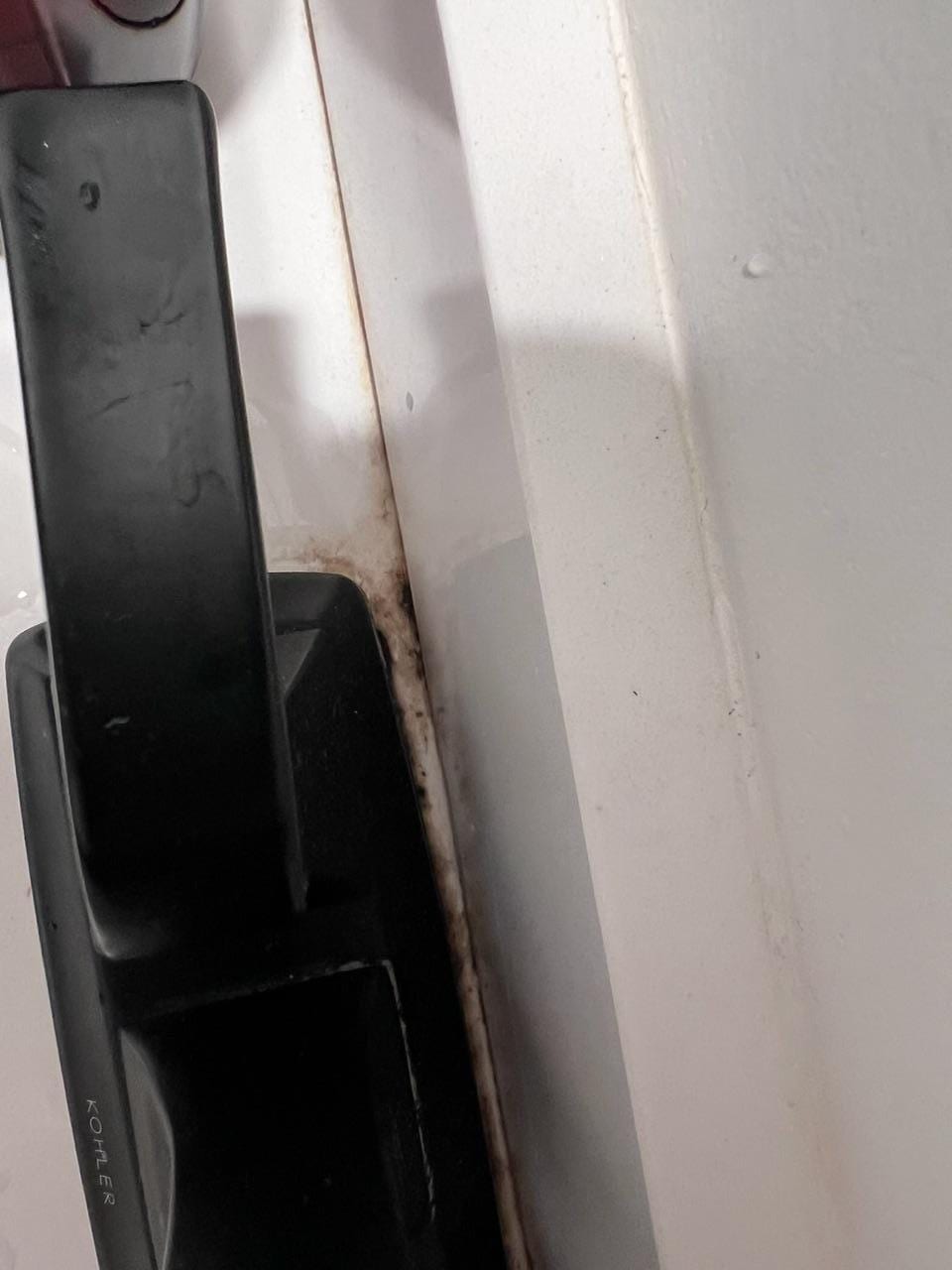 Mold/mildew around sink