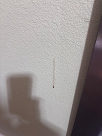 Grime of unknown origin dripping down wall
