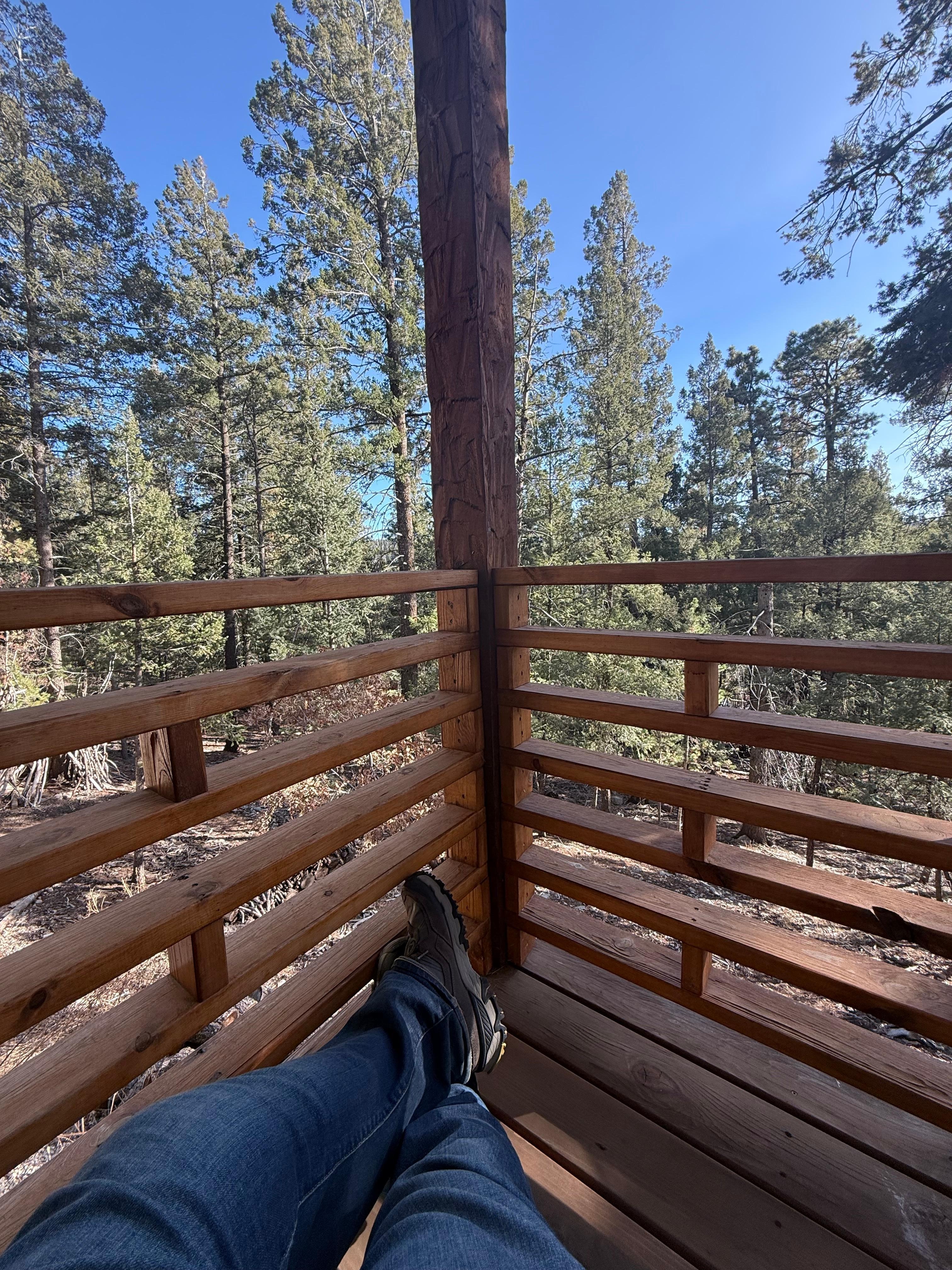 Relaxing and listening to the wind in the trees. 