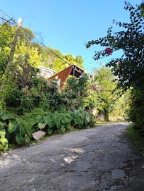 Road and the treehouse