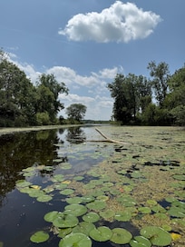 Channel to Bell Lake