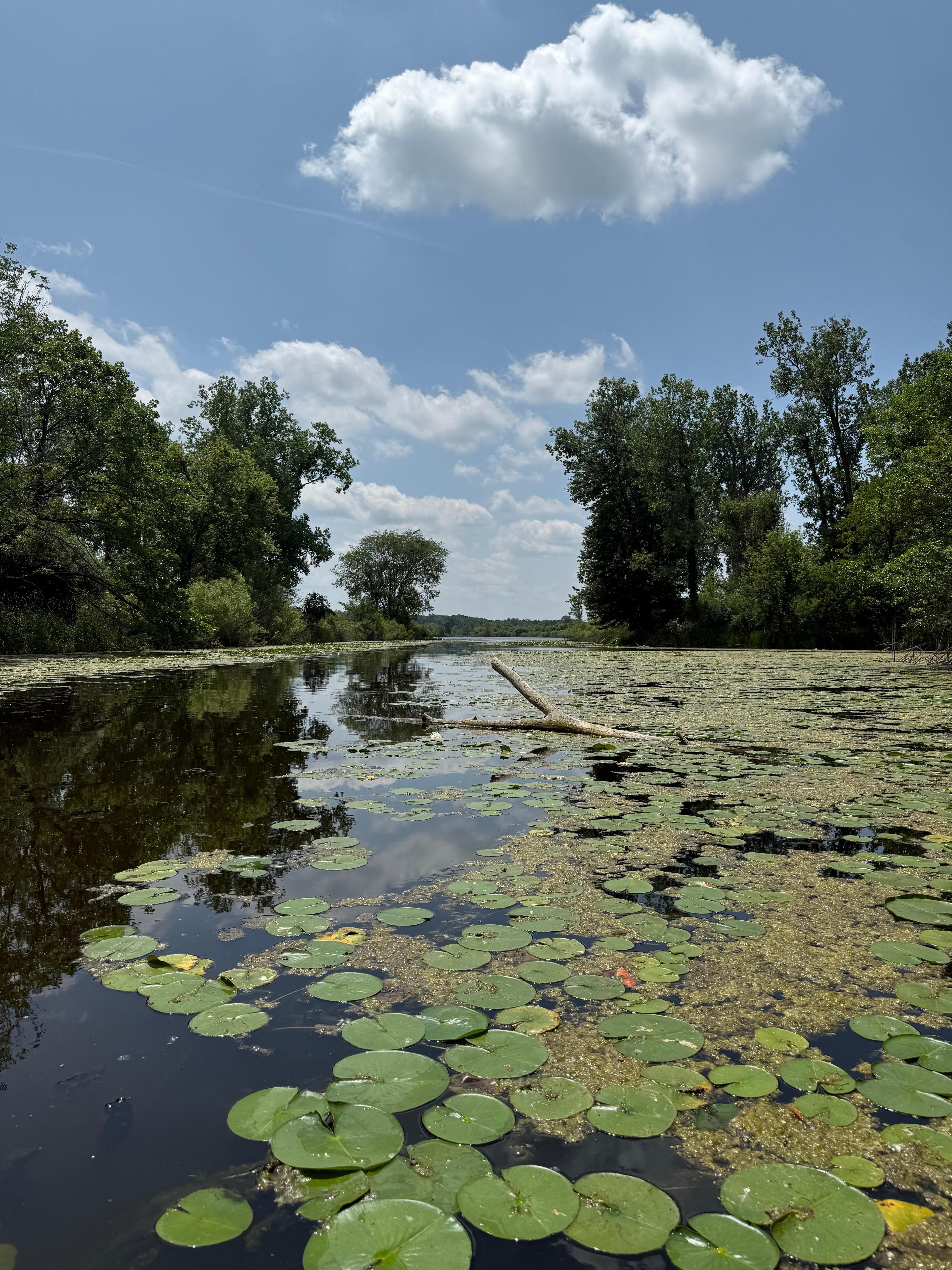 Channel to Bell Lake