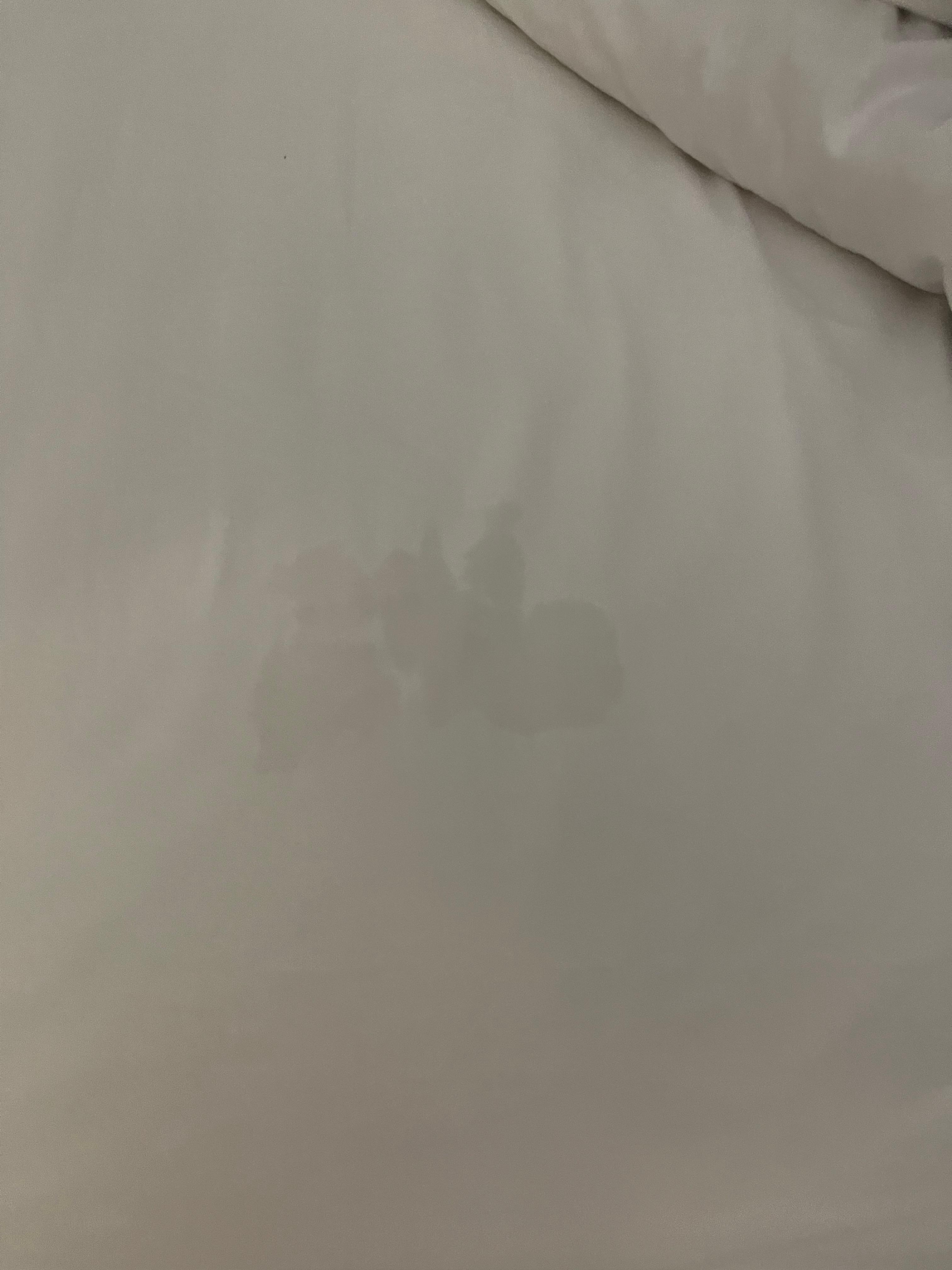 Dirty bedsheets 