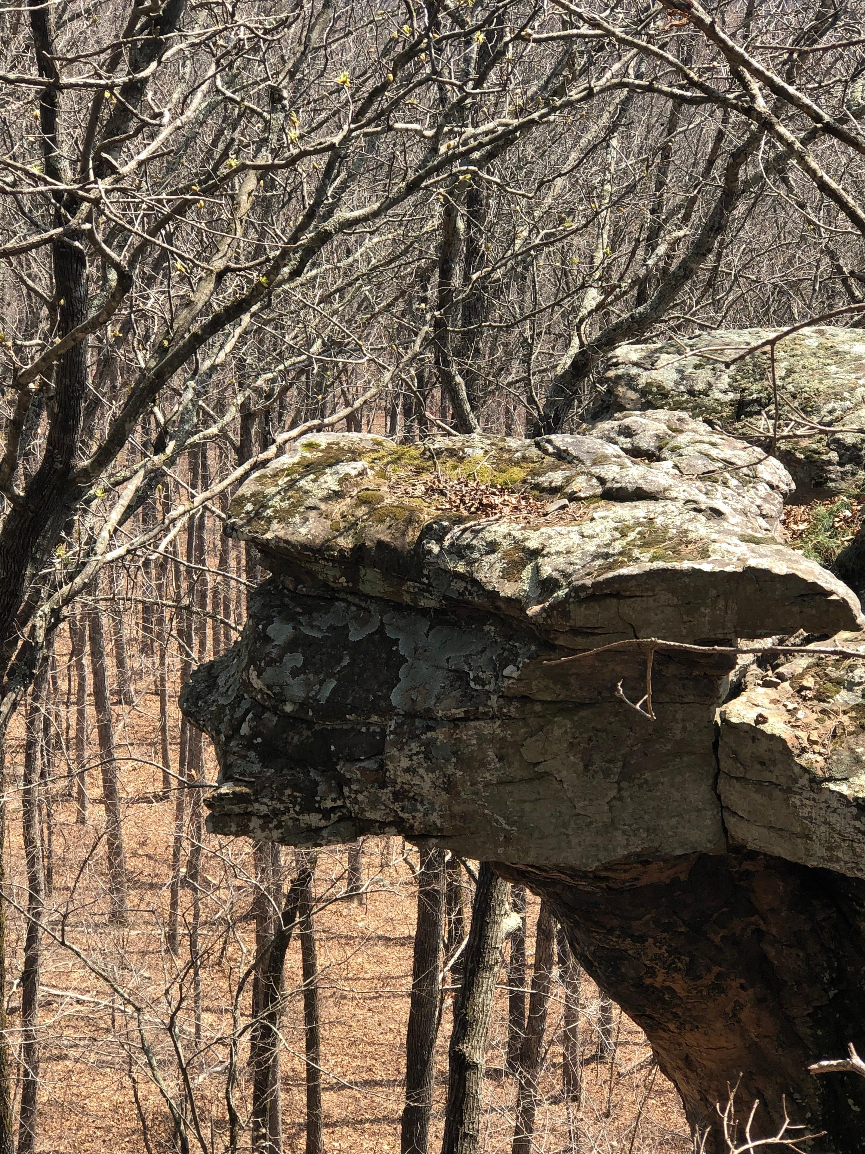 Kings Bluff - Unique rock formations