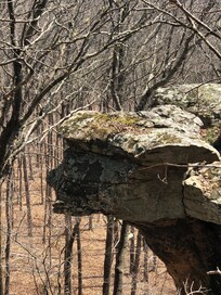 Kings Bluff - Unique rock formations