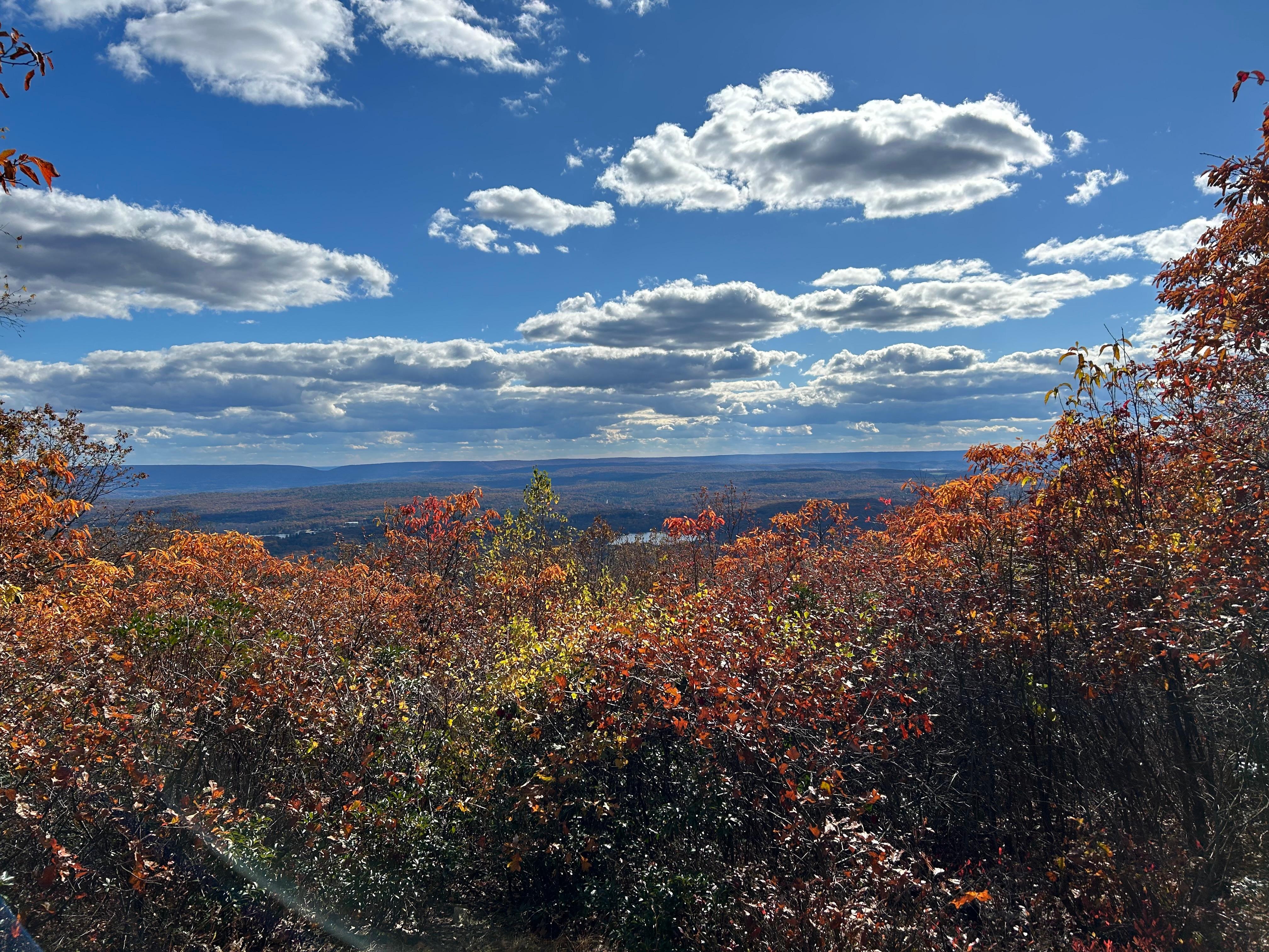 Mountain View from big Pocono 