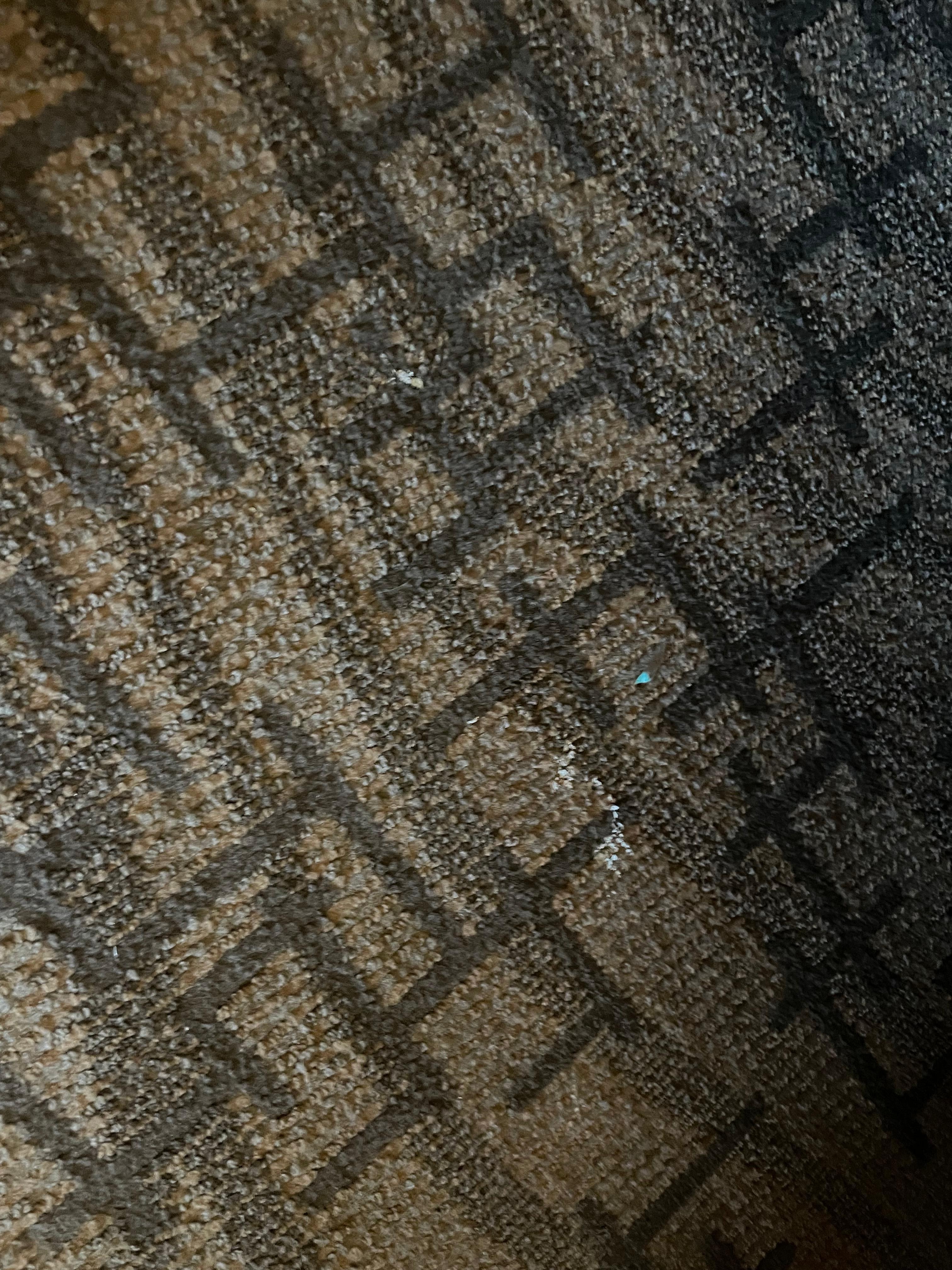 Dirty carpet/not clean 