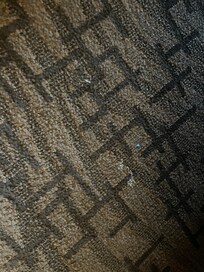 Dirty carpet/not clean