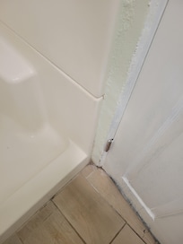 Rusted hinges on bathroom doir