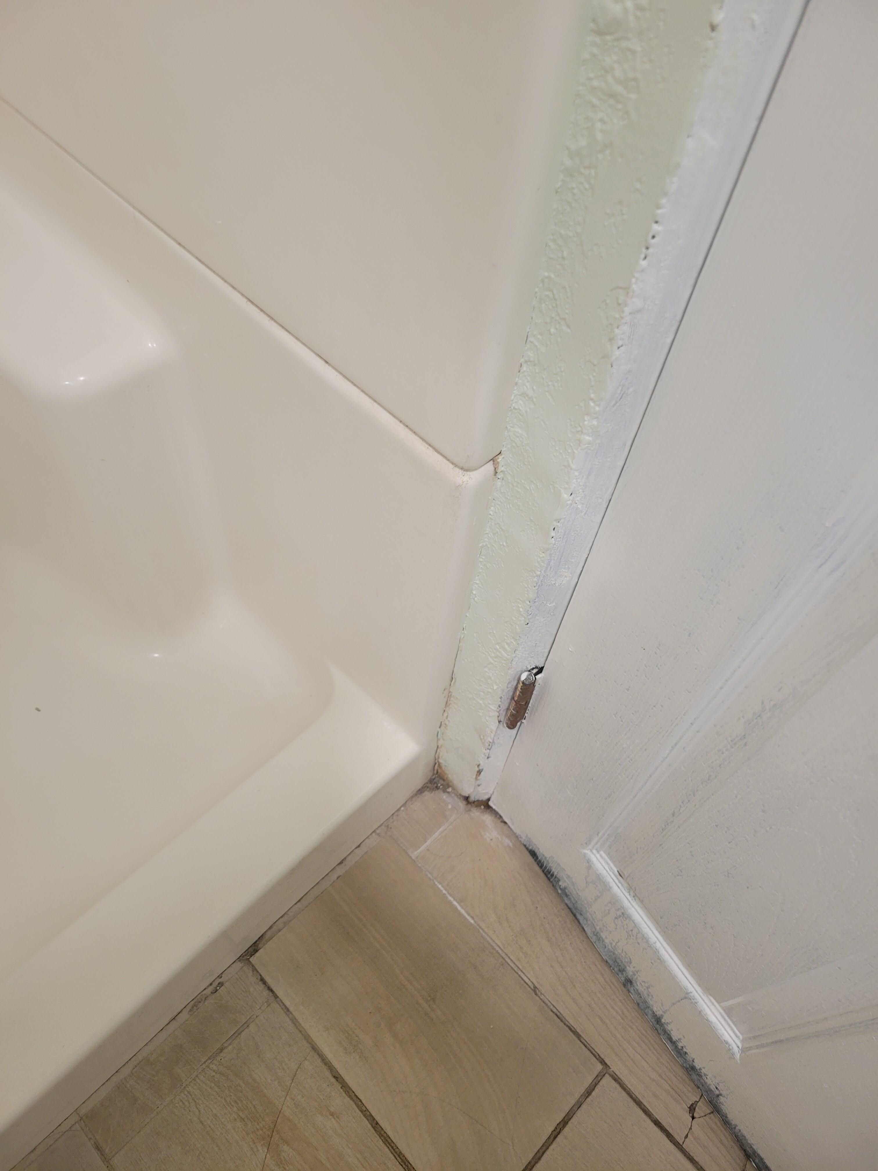 Rusted hinges on bathroom doir