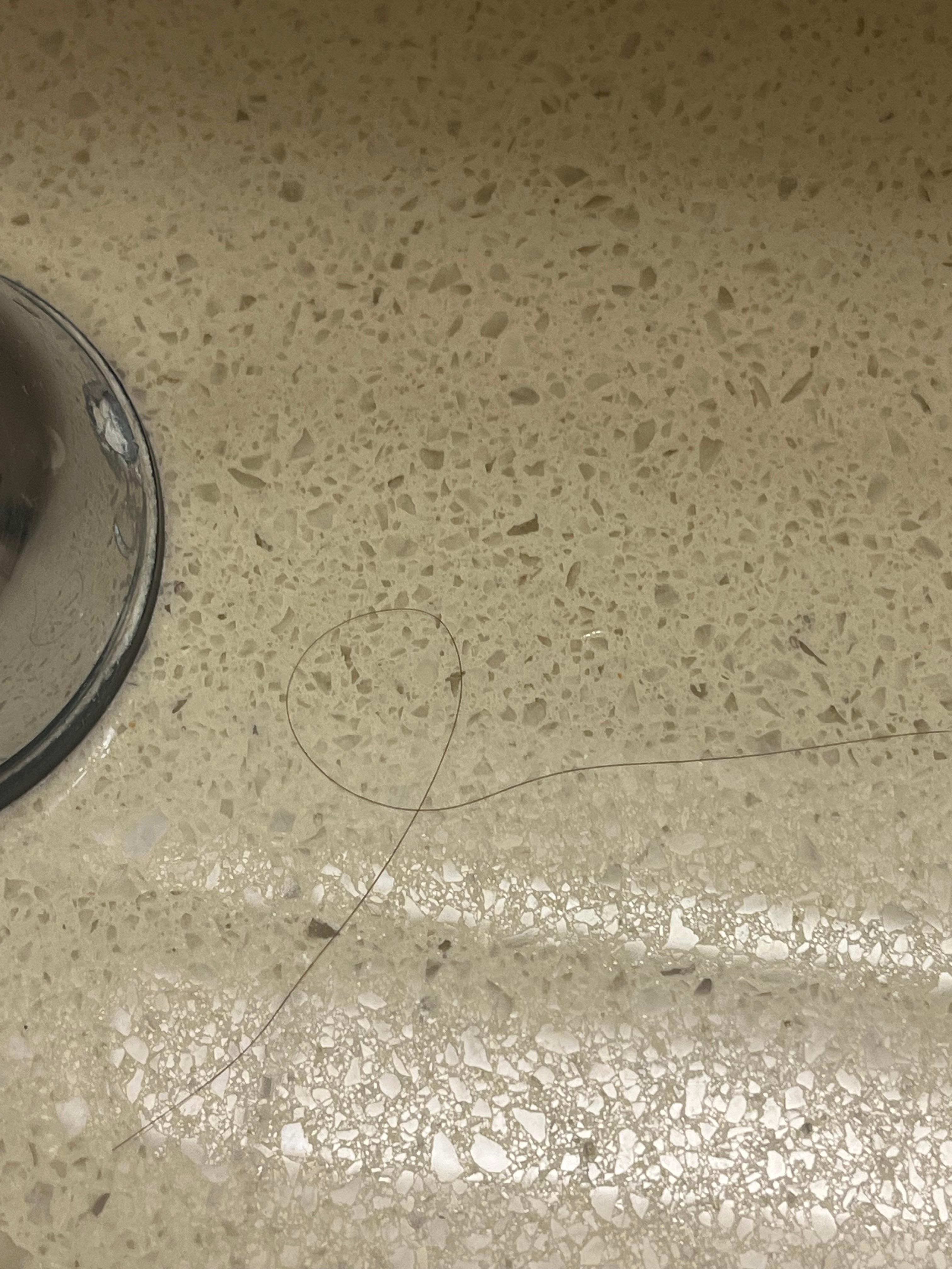 Hair on counter by sink 