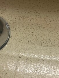 Hair on counter by sink