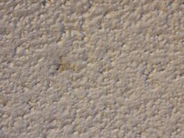 Bug nest above the bed on the celing