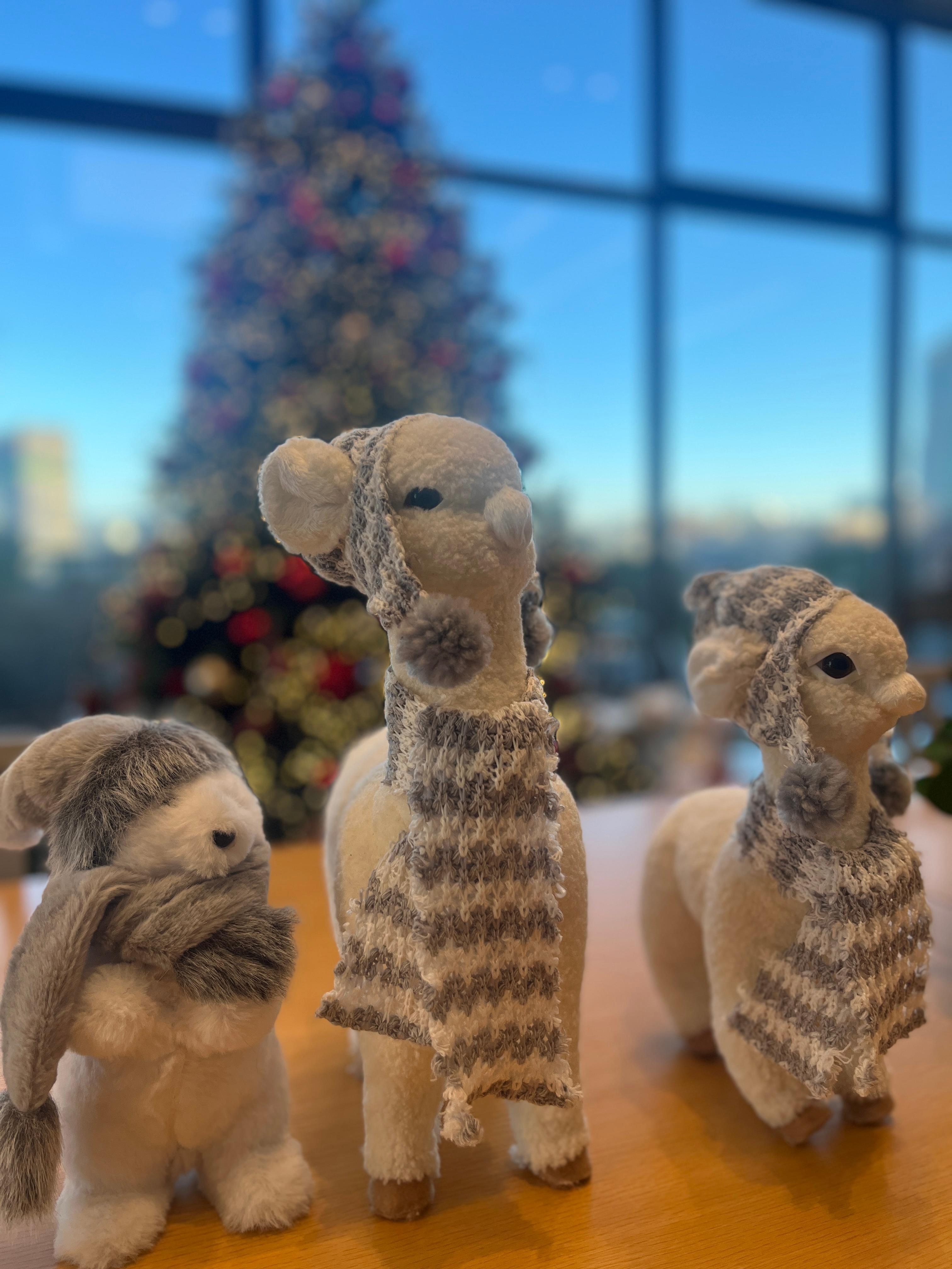 12月末に滞在　ロビーの  ツリーが素敵でした