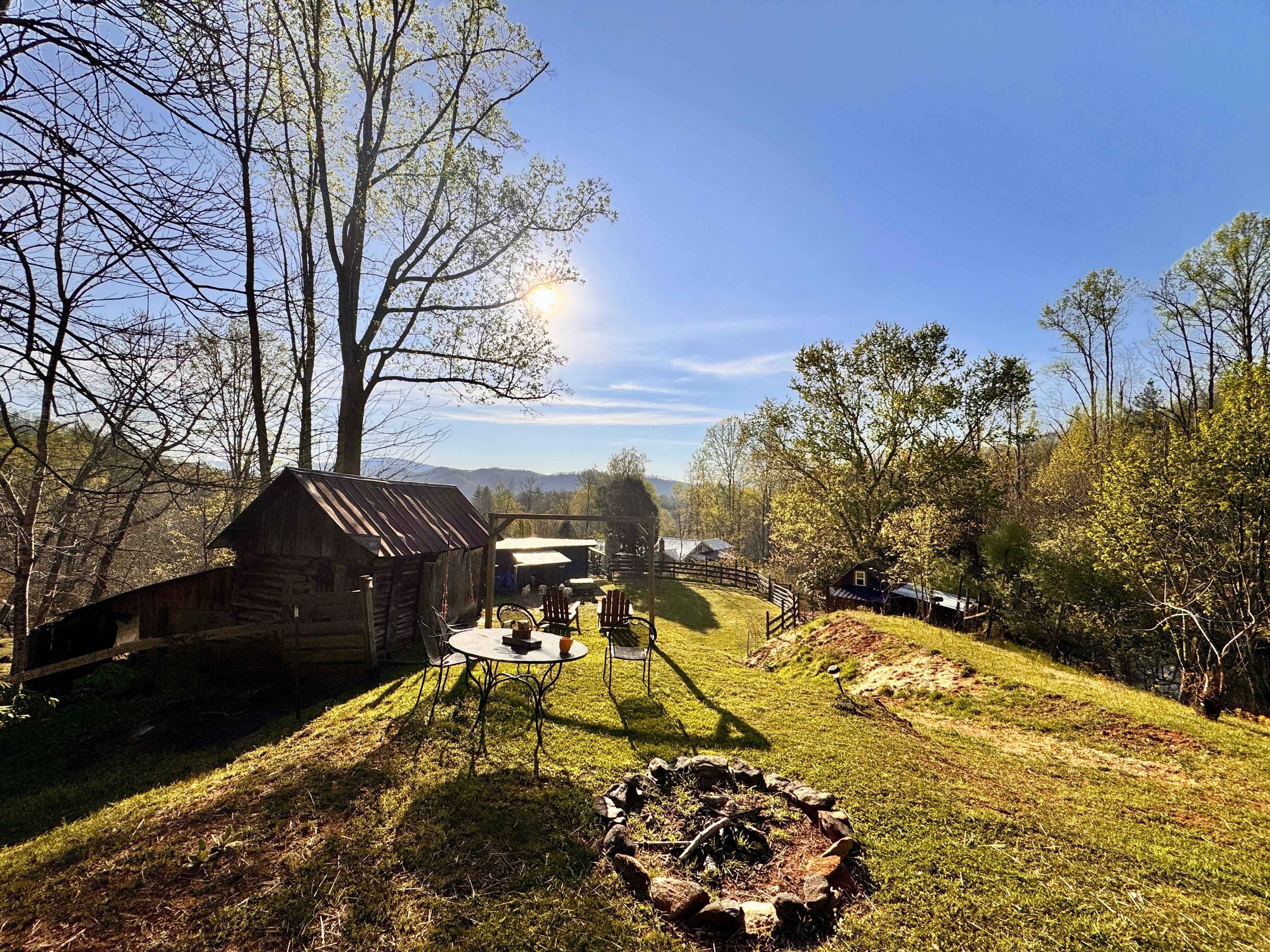 View from top of hill on property 