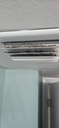 Mold