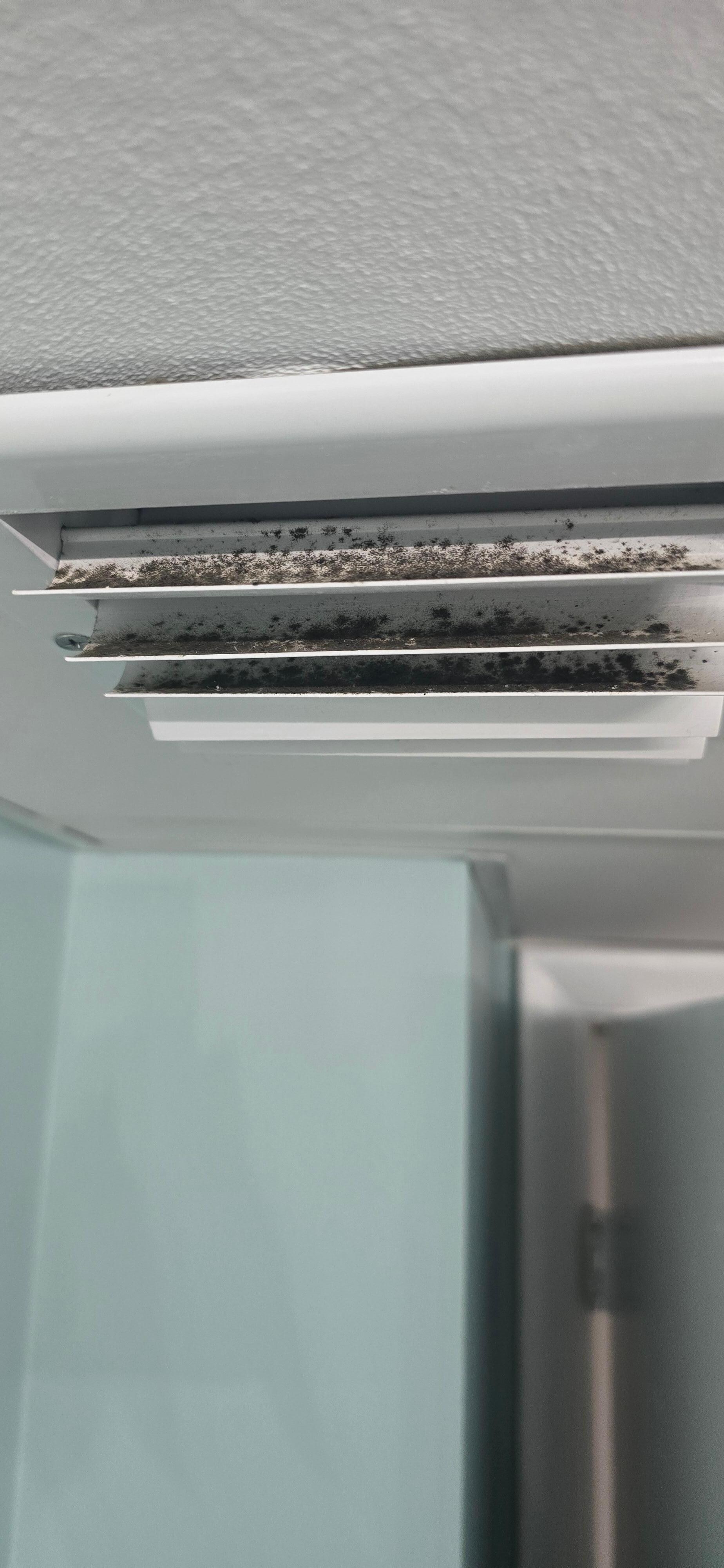 Mold