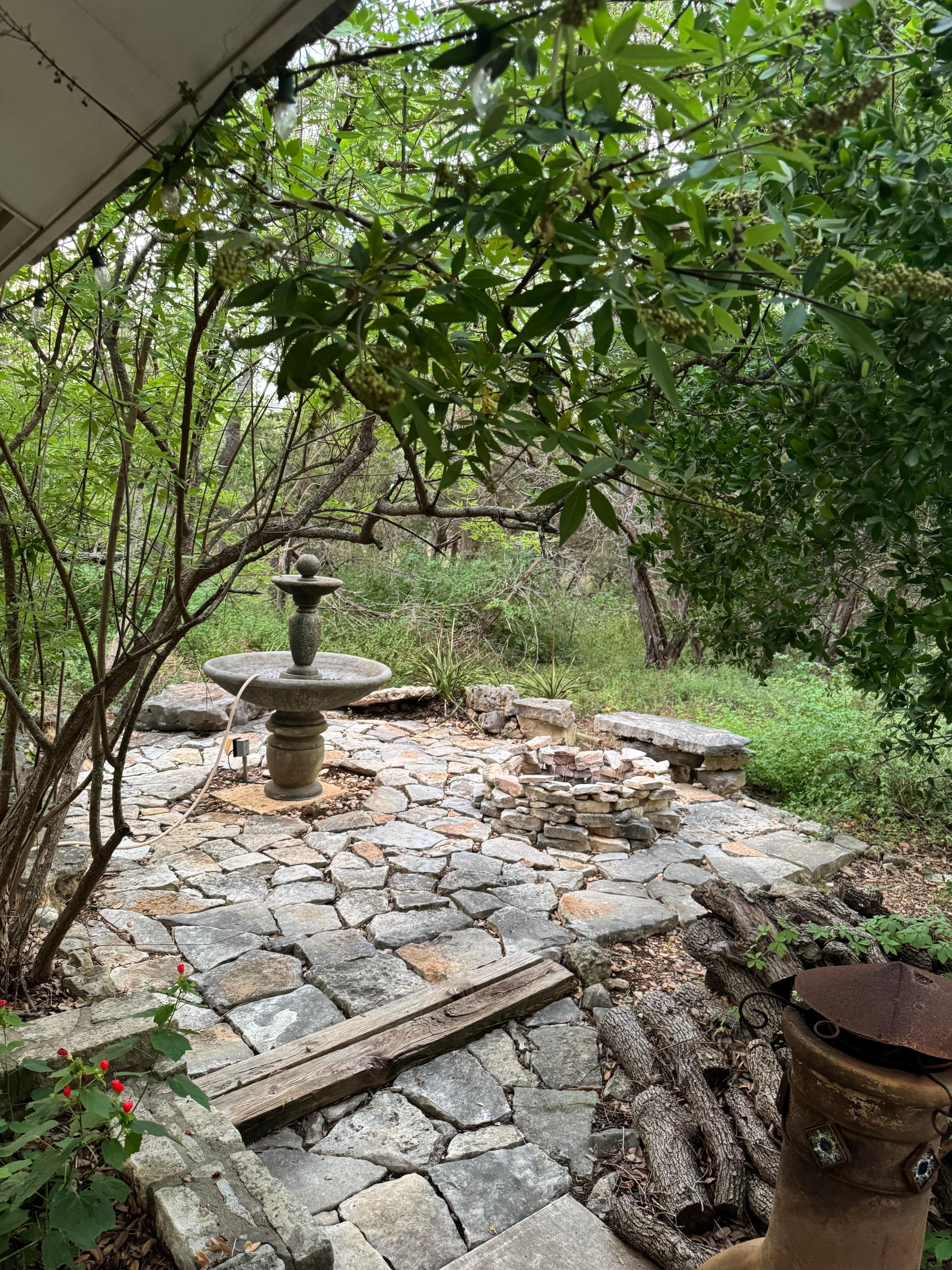 Sitting area kinda of dangerous with grass and trees over growing 