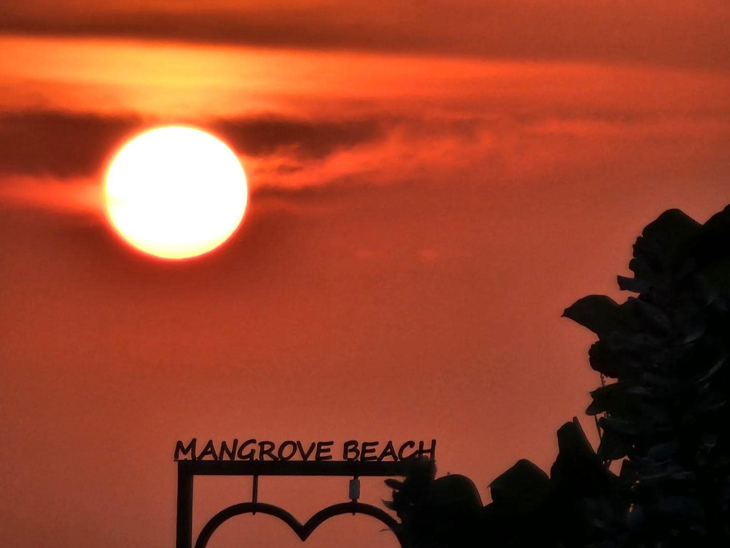 Gorgeous sunset on the beach