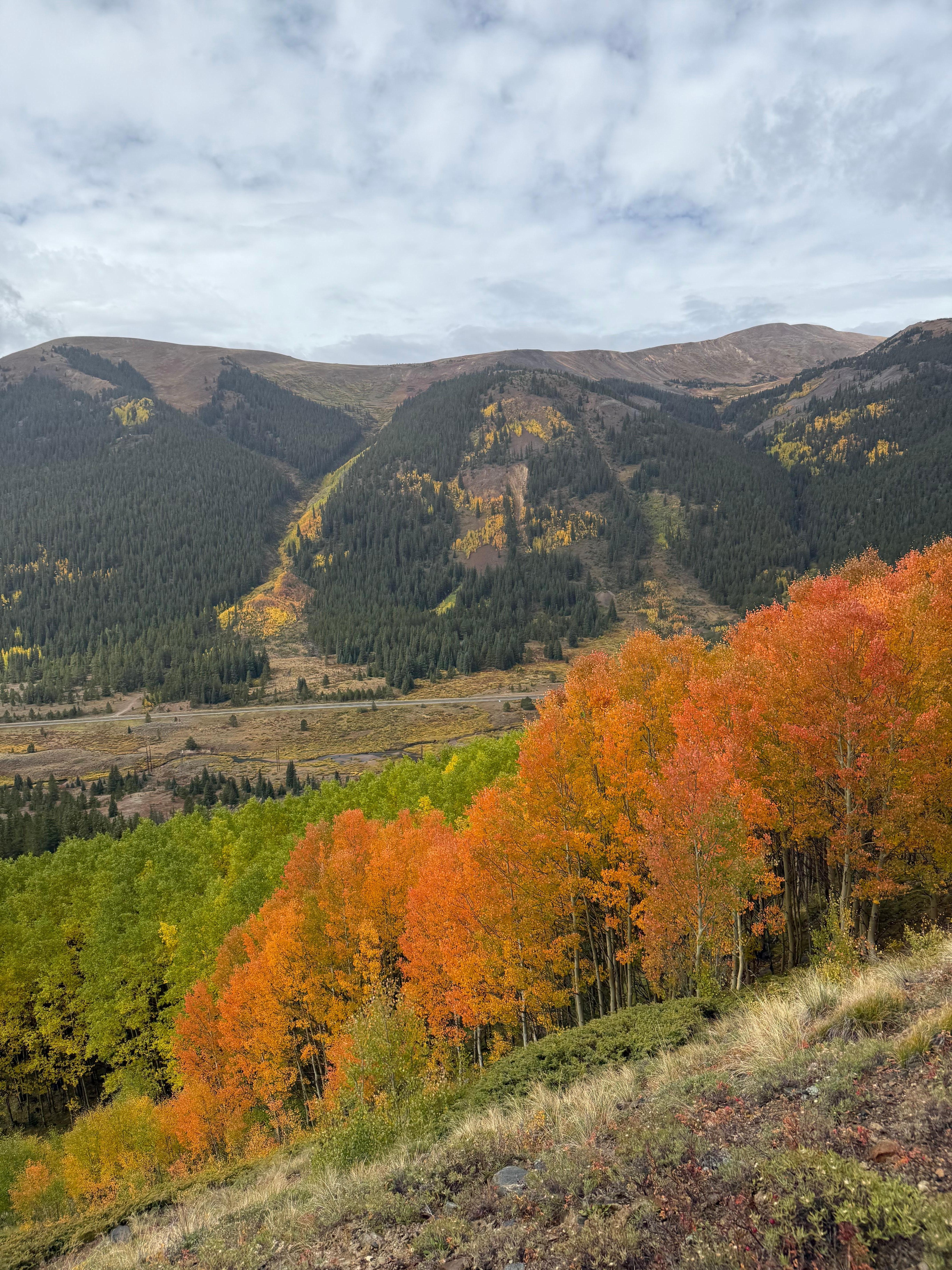 Views from the Leadville train 