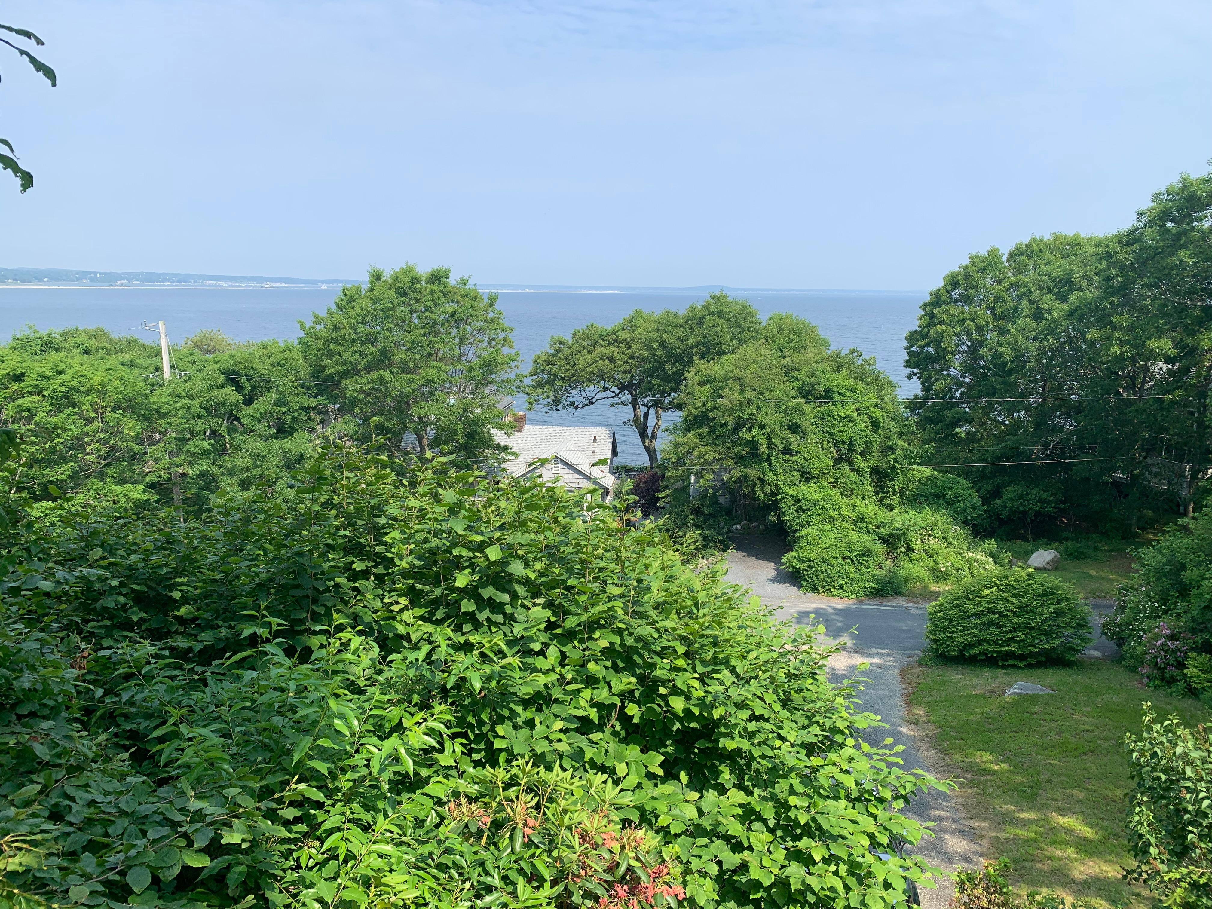 View from the deck