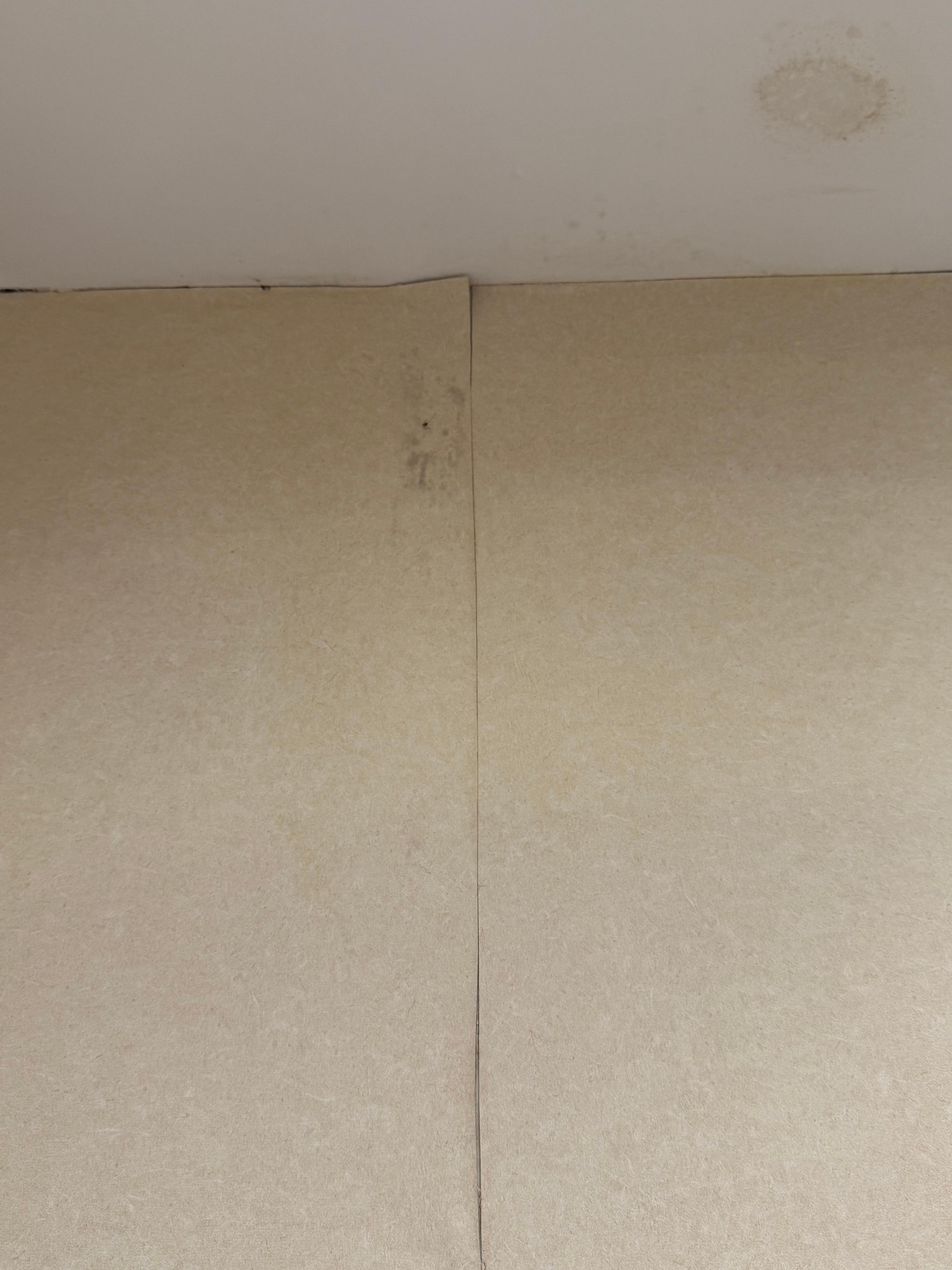 Wallpaper in bathroom coming off